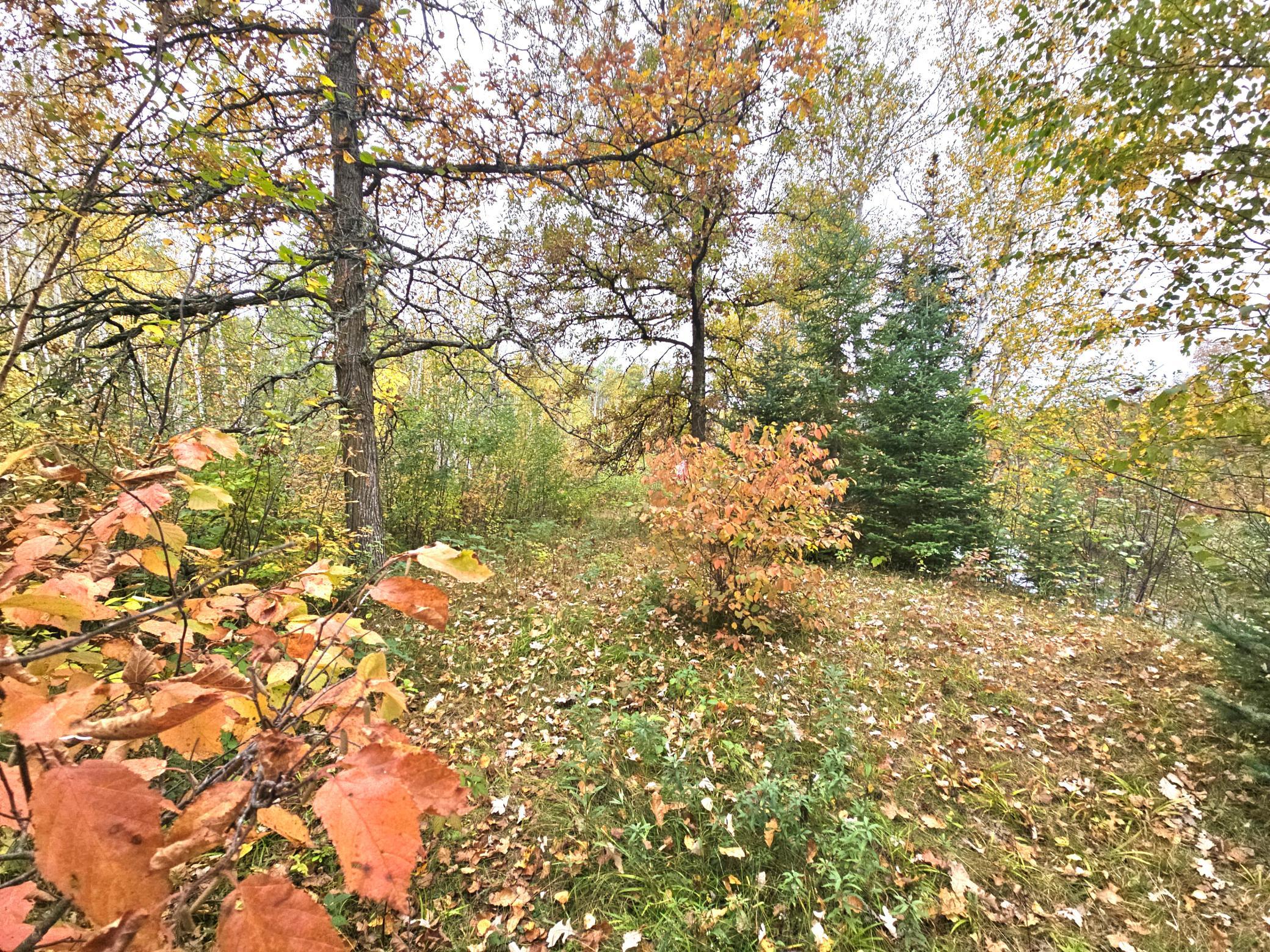 land for sale at TBD 170th Lane in Mc Grath, MN (photo 8 of 42)