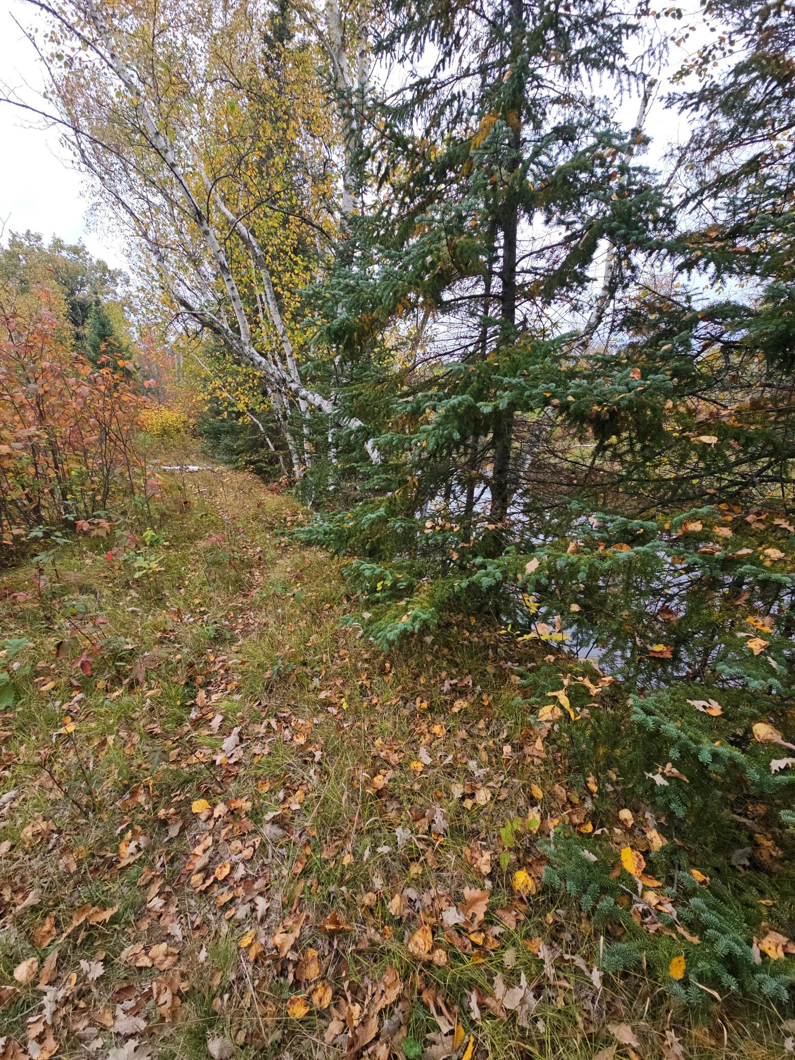 land for sale at TBD 170th Lane in Mc Grath, MN (photo 9 of 42)