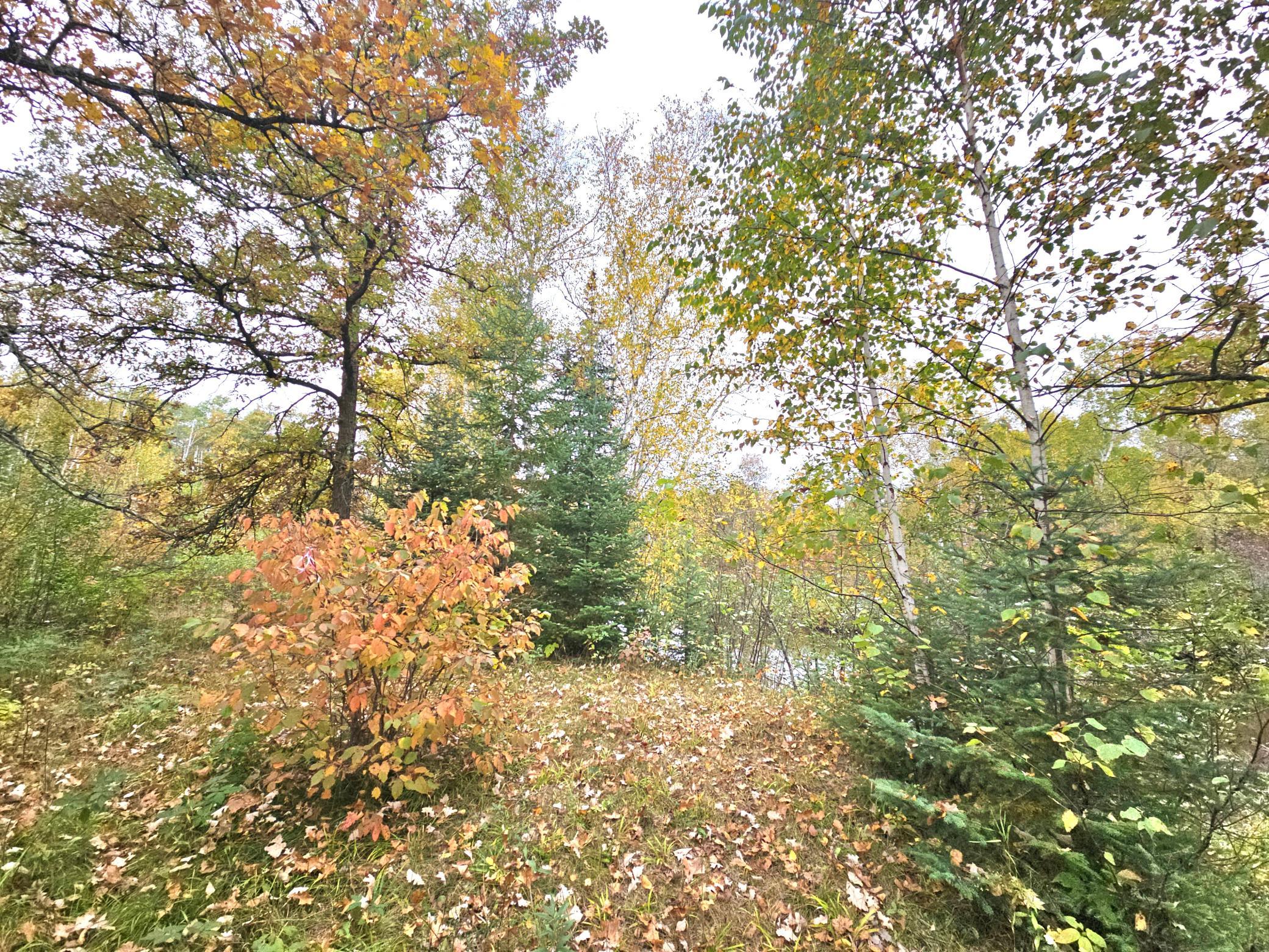 land for sale at TBD 170th Lane in Mc Grath, MN (photo 10 of 42)