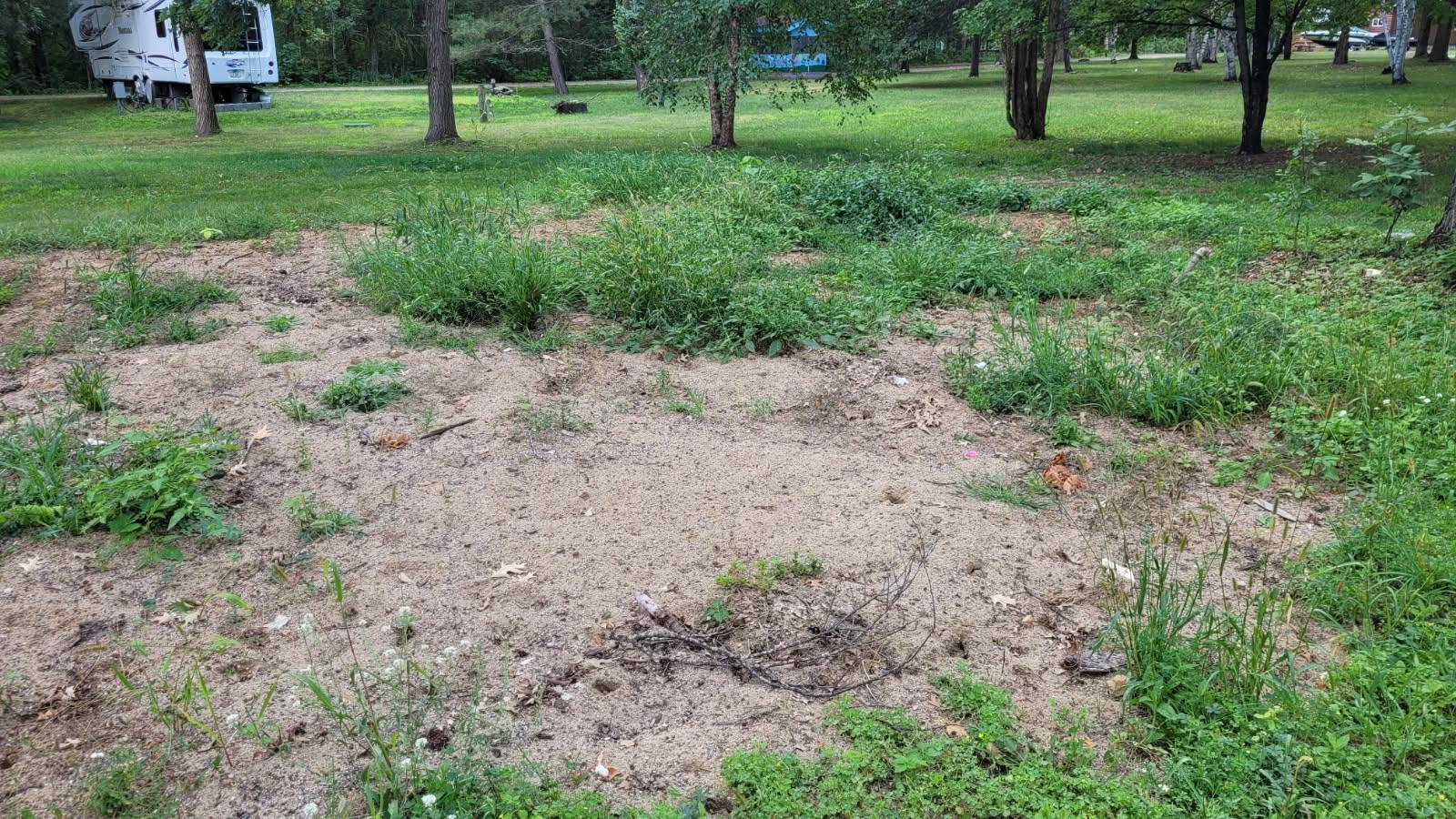 land for sale at 121 County 118 NW in Backus, MN (photo 4 of 4)