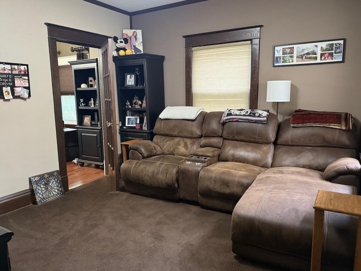 1905 single family home for sale at 721 Main Avenue N in Thief River Falls, MN — 3 bed, 2 bath (photo 25 of 36)