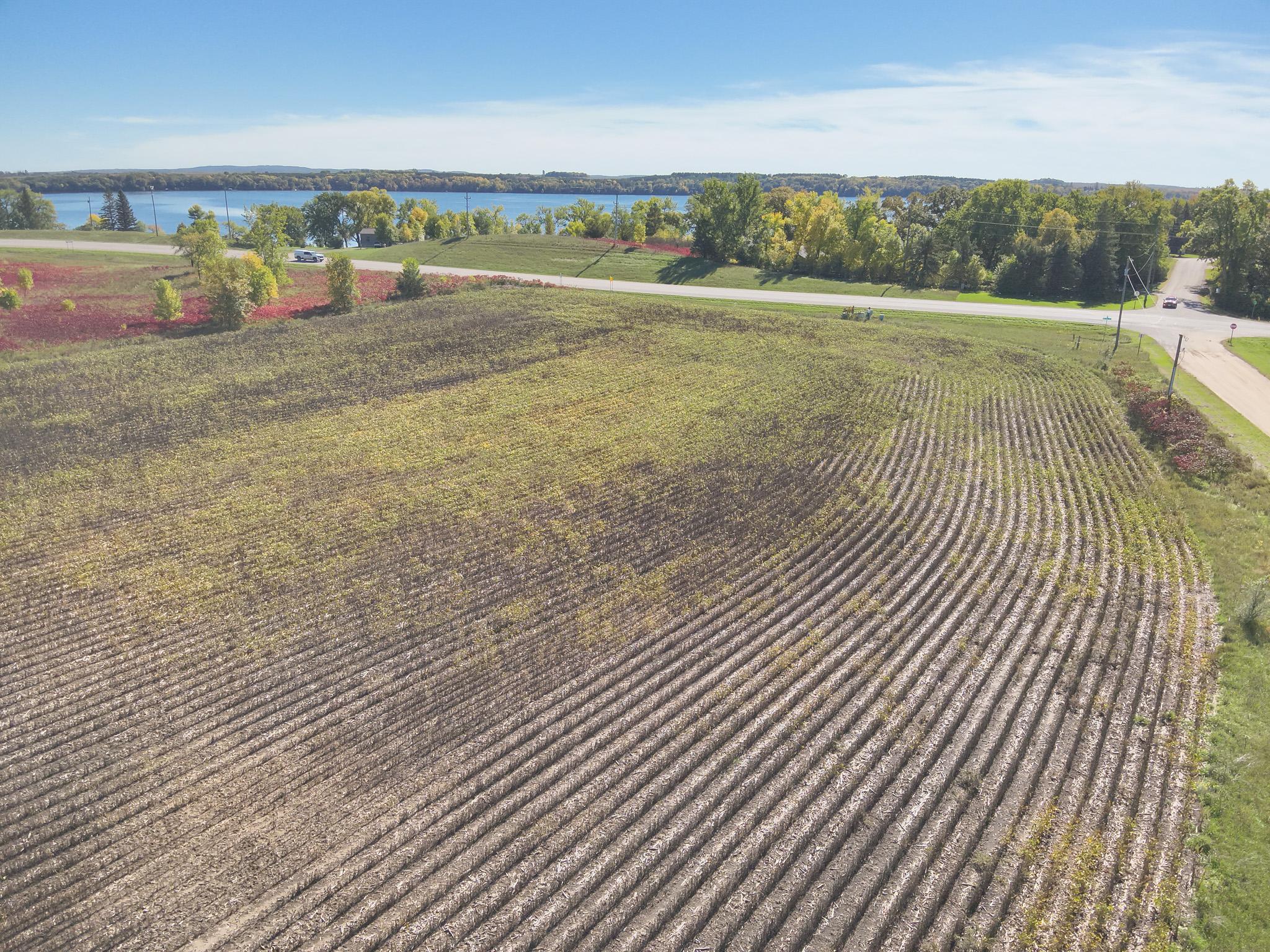 land for sale at XXXXX 402nd Ave Tract A in Clitherall, MN (photo 3 of 10)