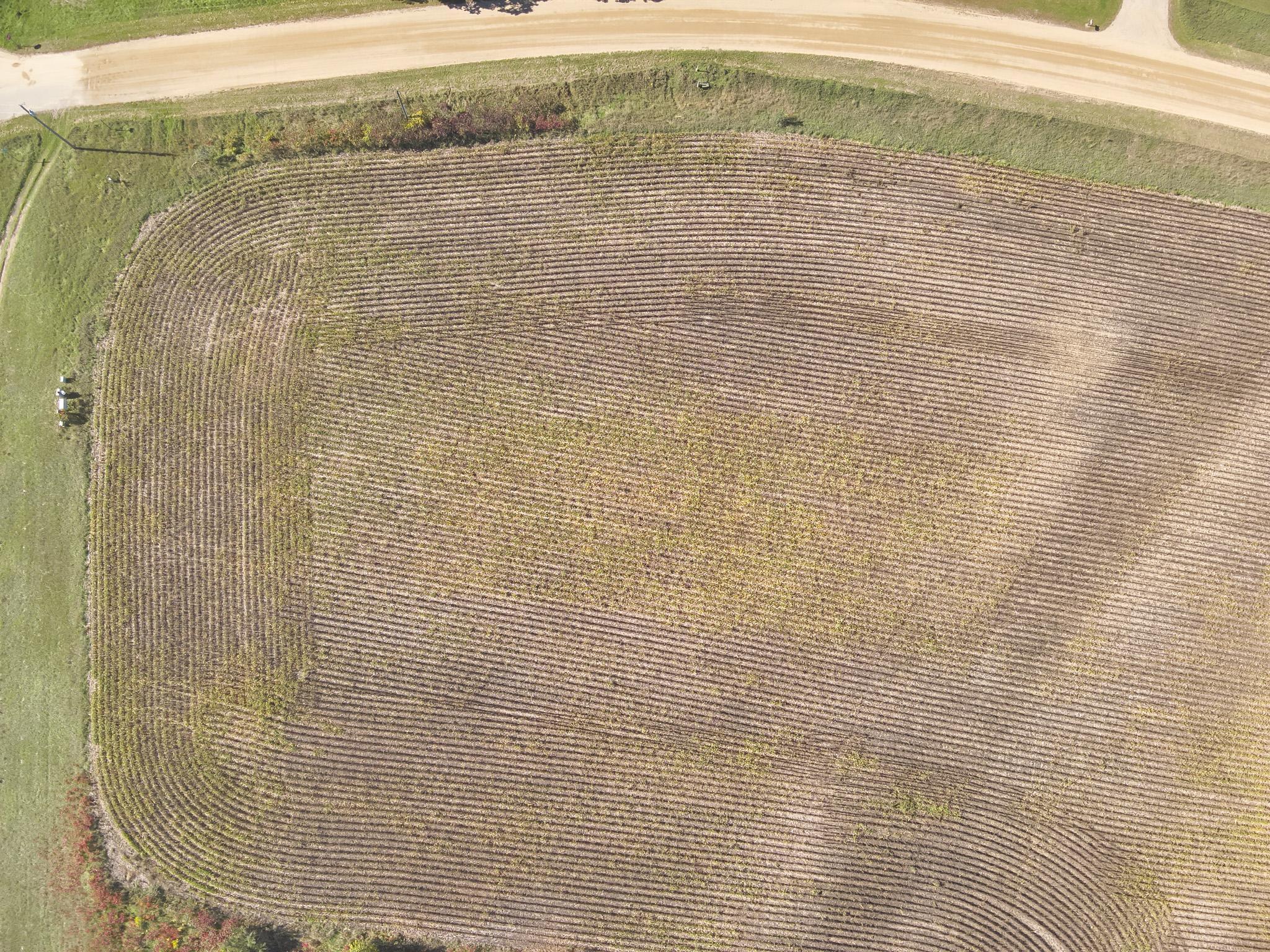 land for sale at XXXXX 402nd Ave Tract A in Clitherall, MN (photo 5 of 10)