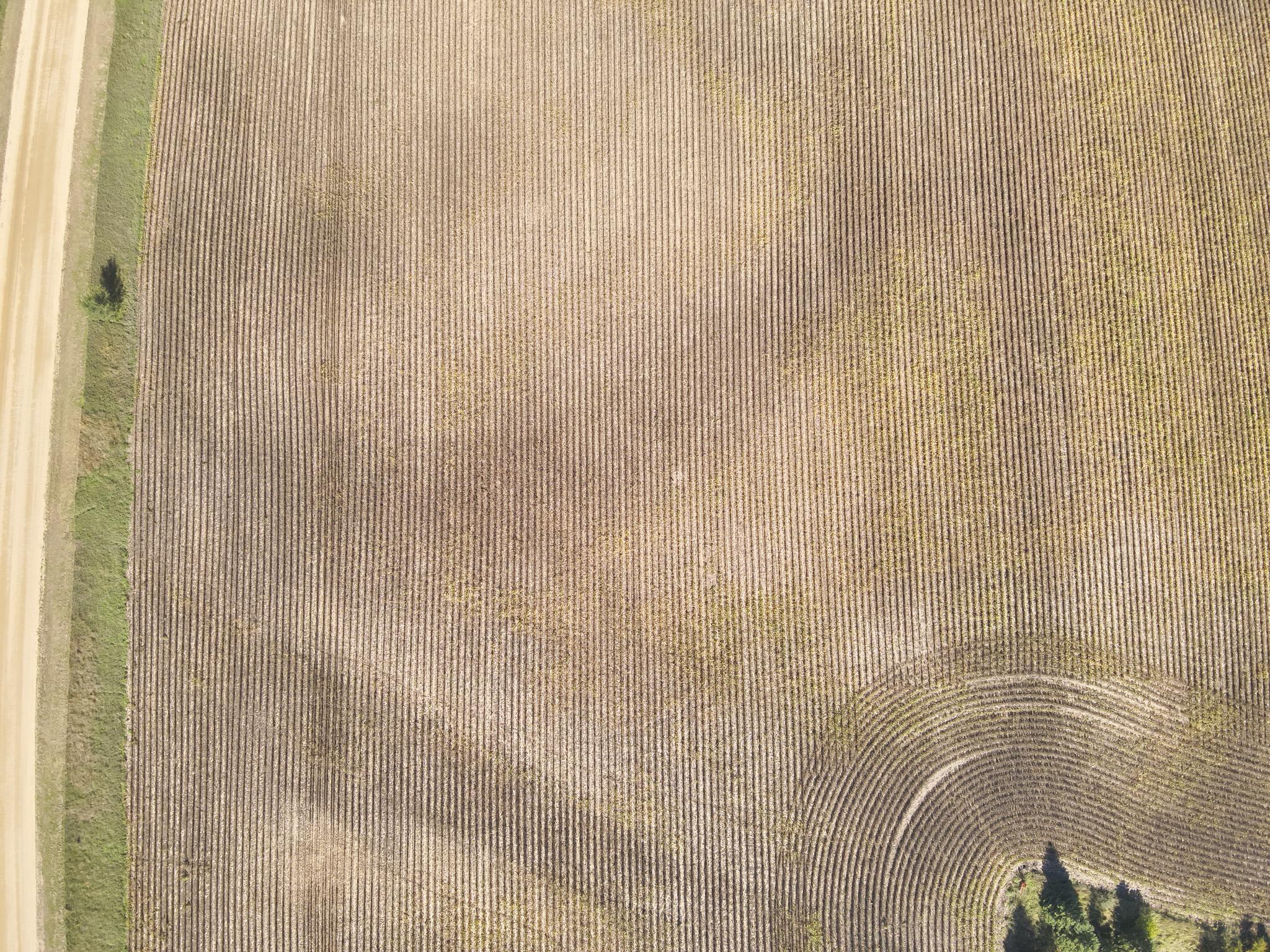 land for sale at XXXXX 402nd Ave Tract B in Clitherall, MN (photo 3 of 11)