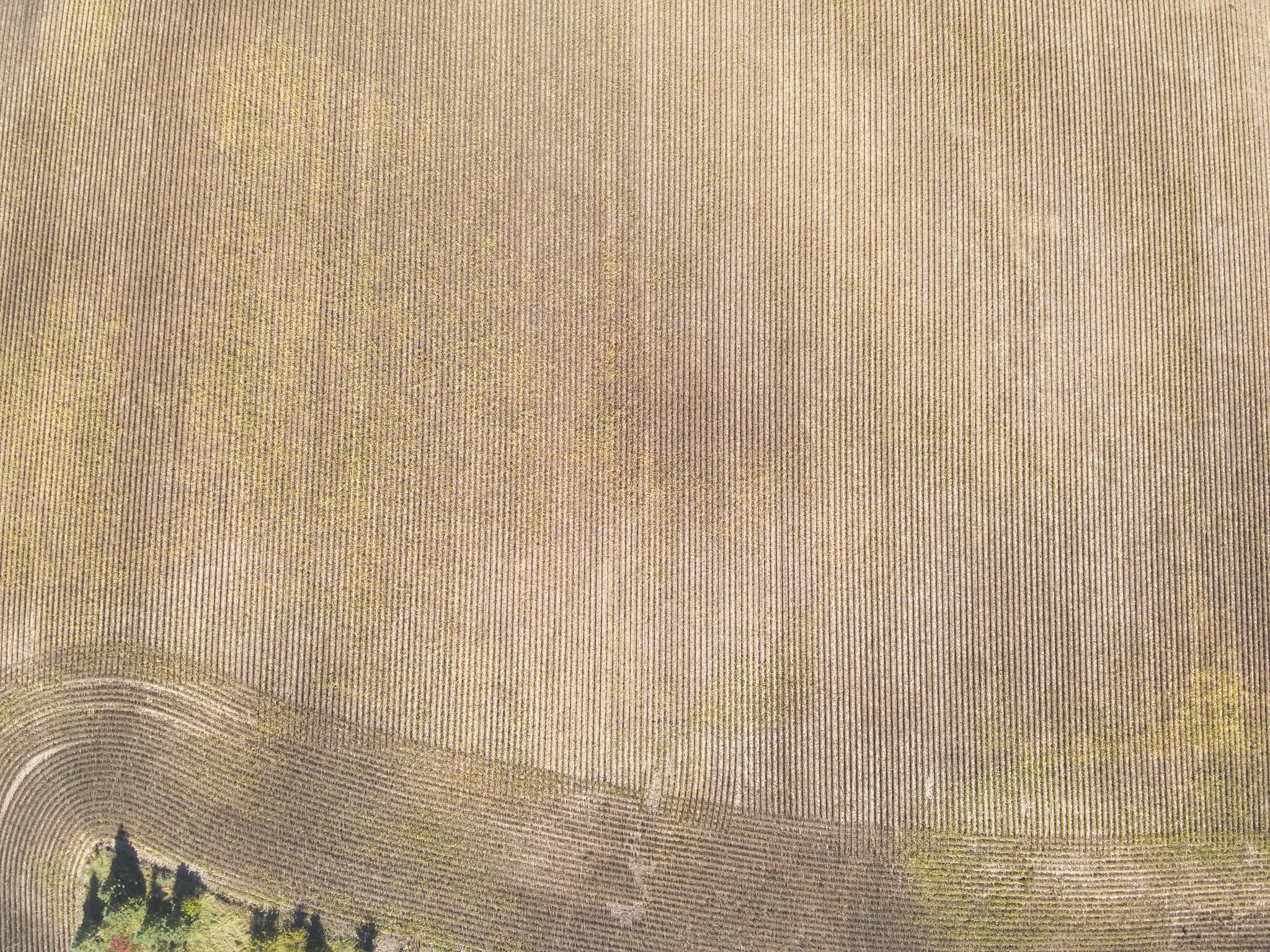land for sale at XXXXX 402nd Ave Tract C in Clitherall, MN (photo 4 of 10)