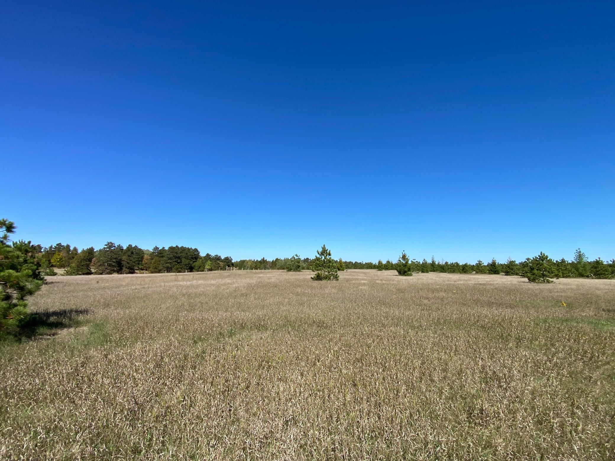 land for sale at TBD Crooked River Dr - Tract B in Park Rapids, MN (photo 2 of 5)
