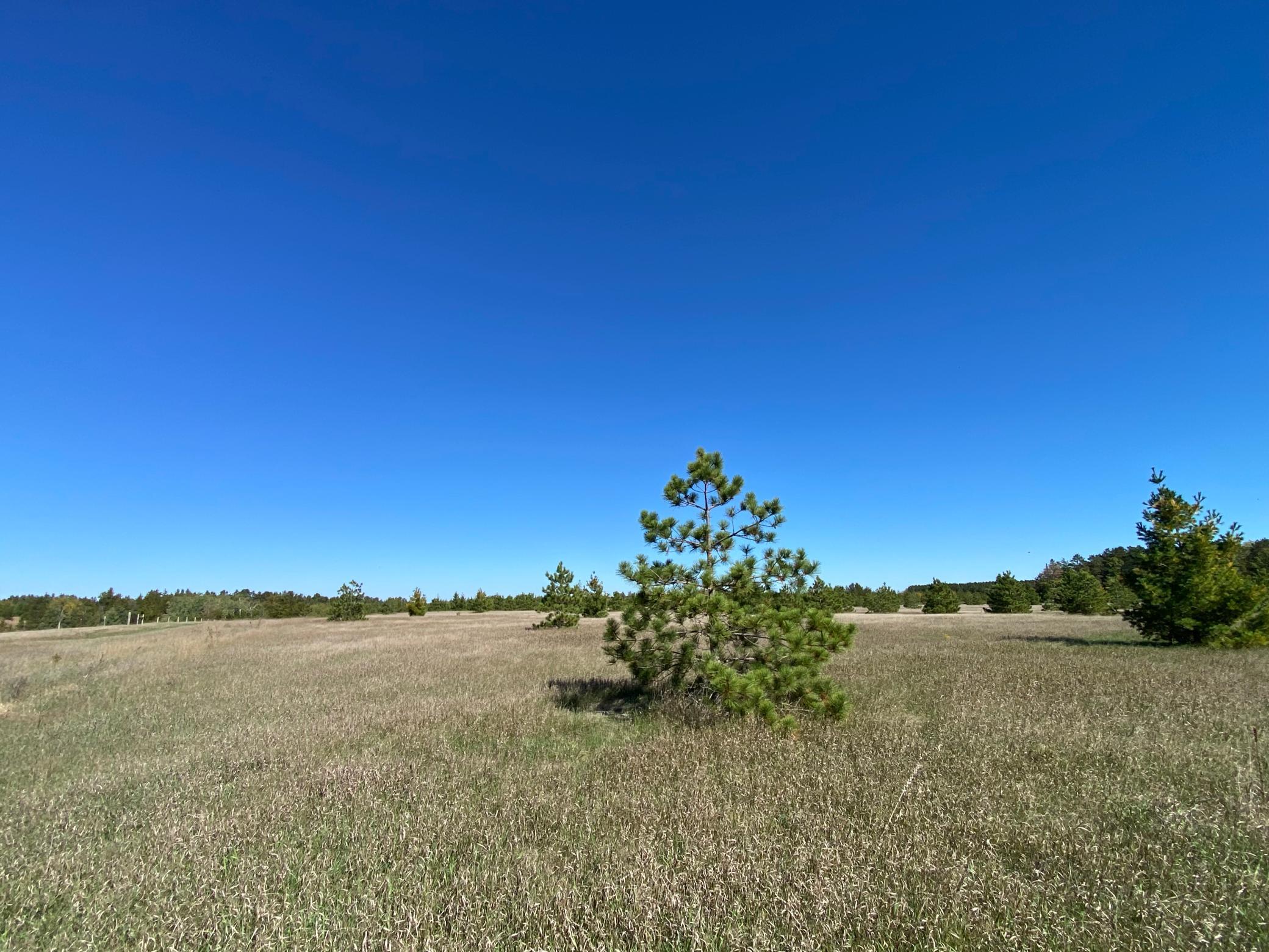 land for sale at TBD Crooked River Dr - Tract B in Park Rapids, MN (photo 3 of 5)