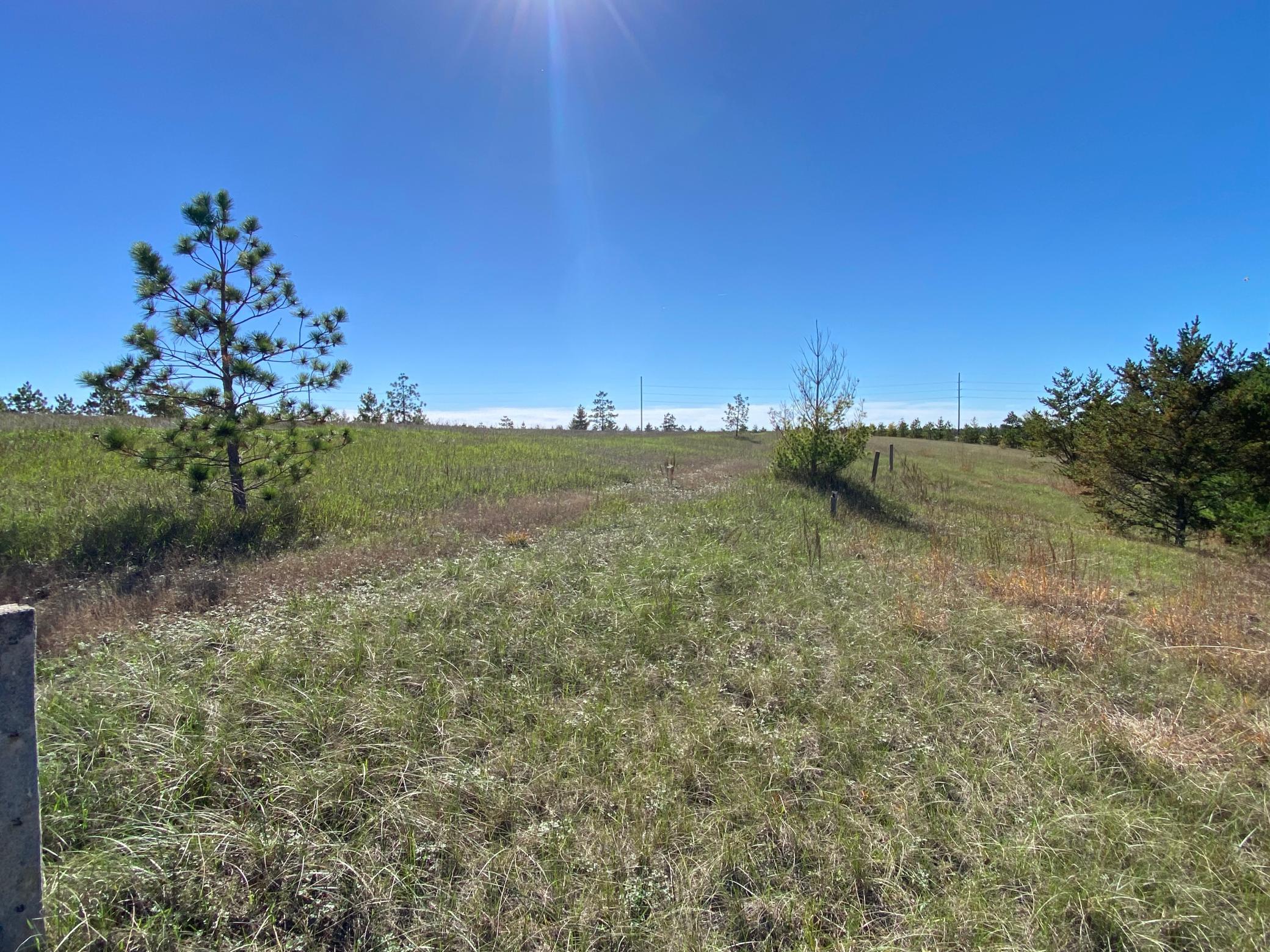 land for sale at TBD Crooked River Dr - Tract B in Park Rapids, MN (photo 5 of 5)