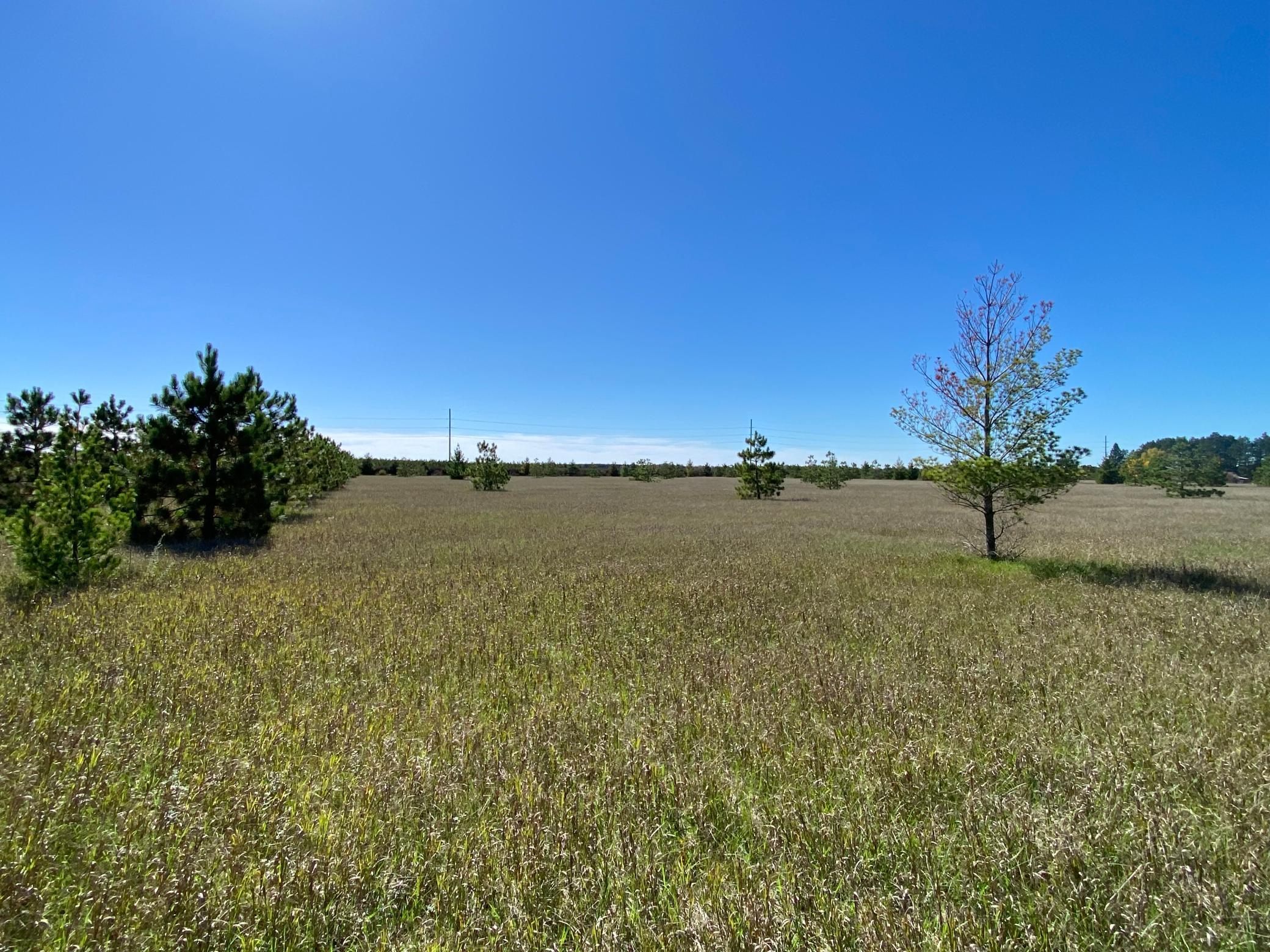 land for sale at TBD Crooked River Dr - Tract C in Park Rapids, MN (photo 2 of 5)