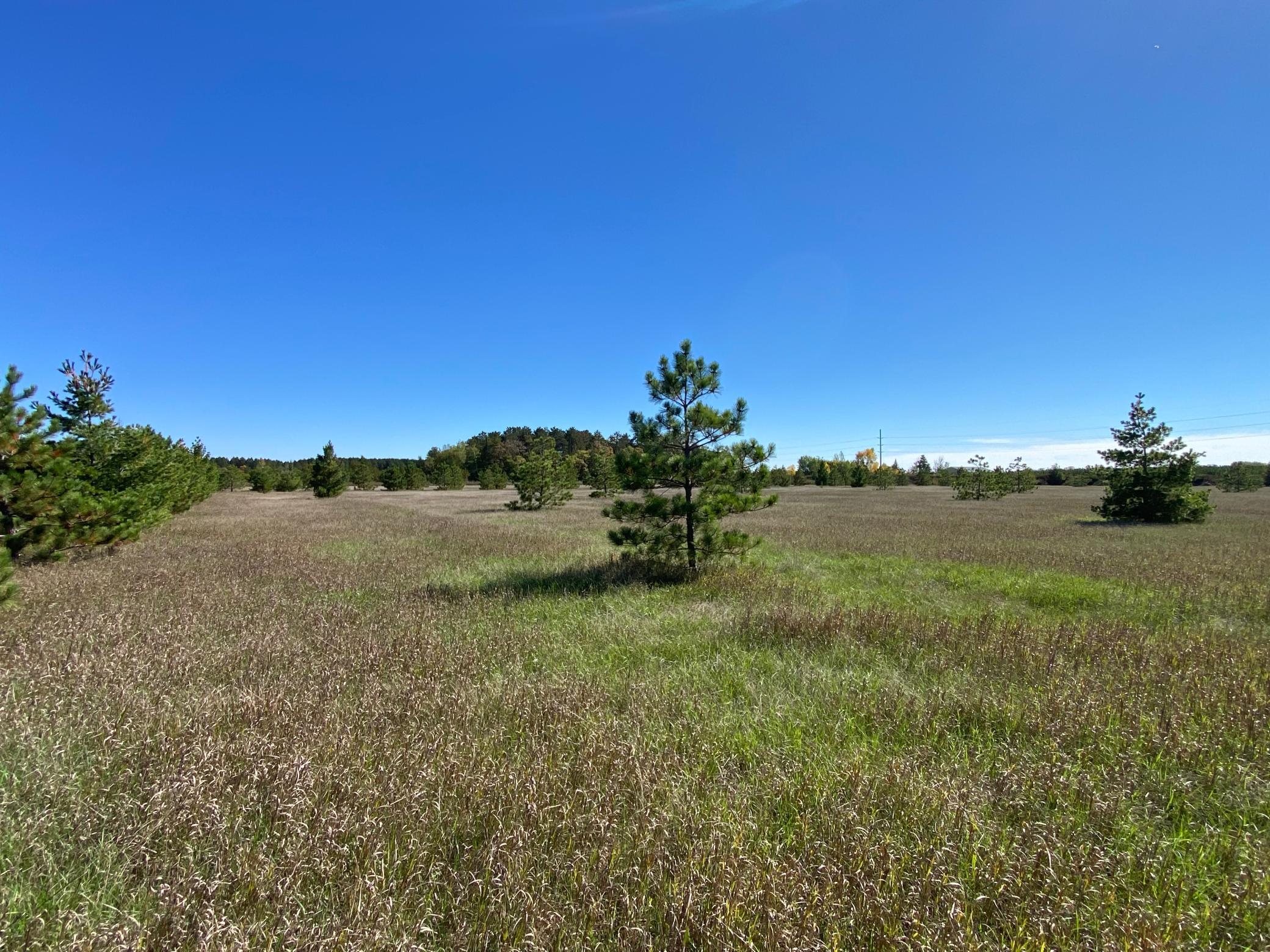 land for sale at TBD Crooked River Dr - Tract C in Park Rapids, MN (photo 3 of 5)