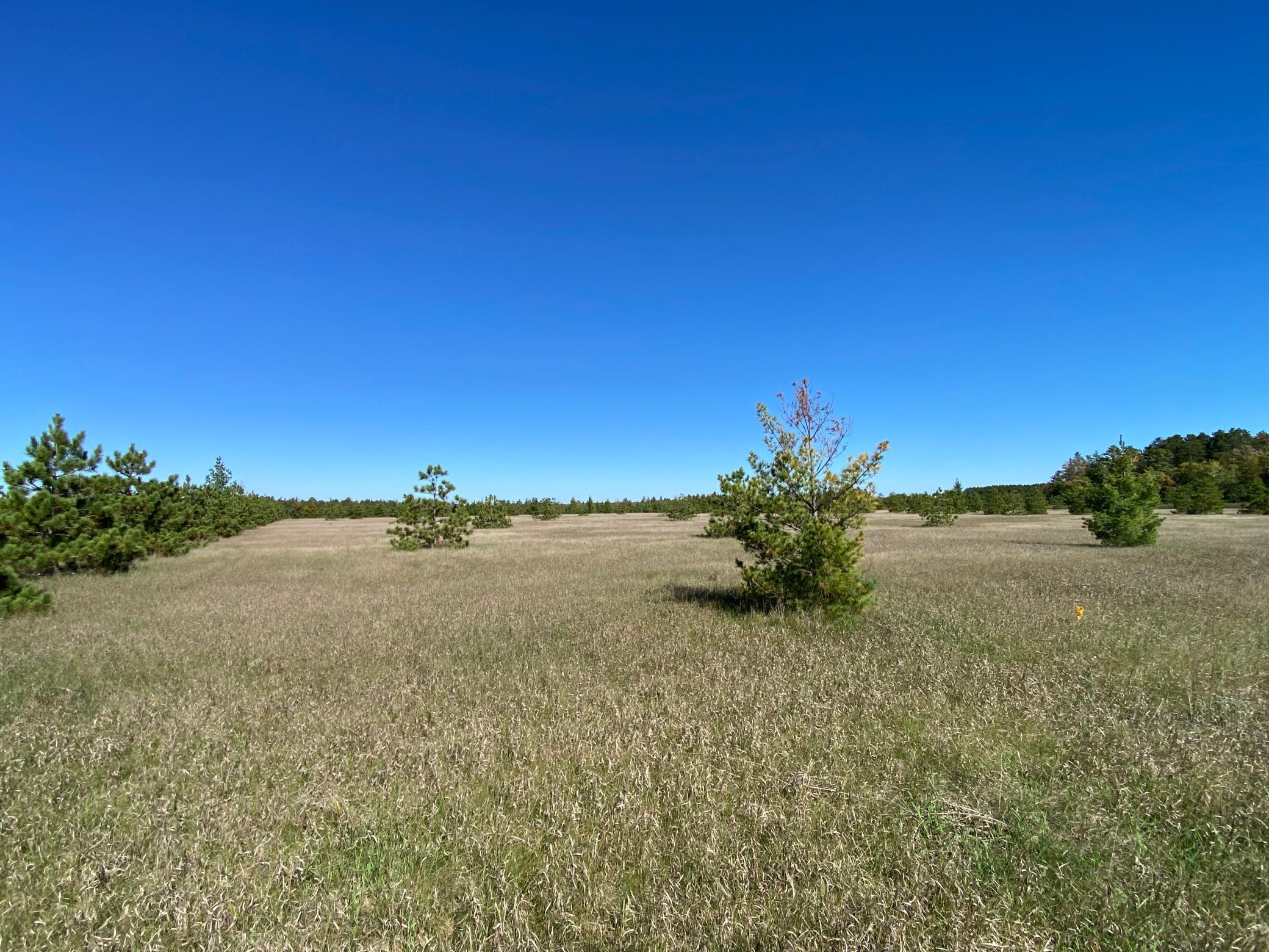 land for sale at TBD Crooked River Dr - Tract C in Park Rapids, MN (photo 4 of 5)