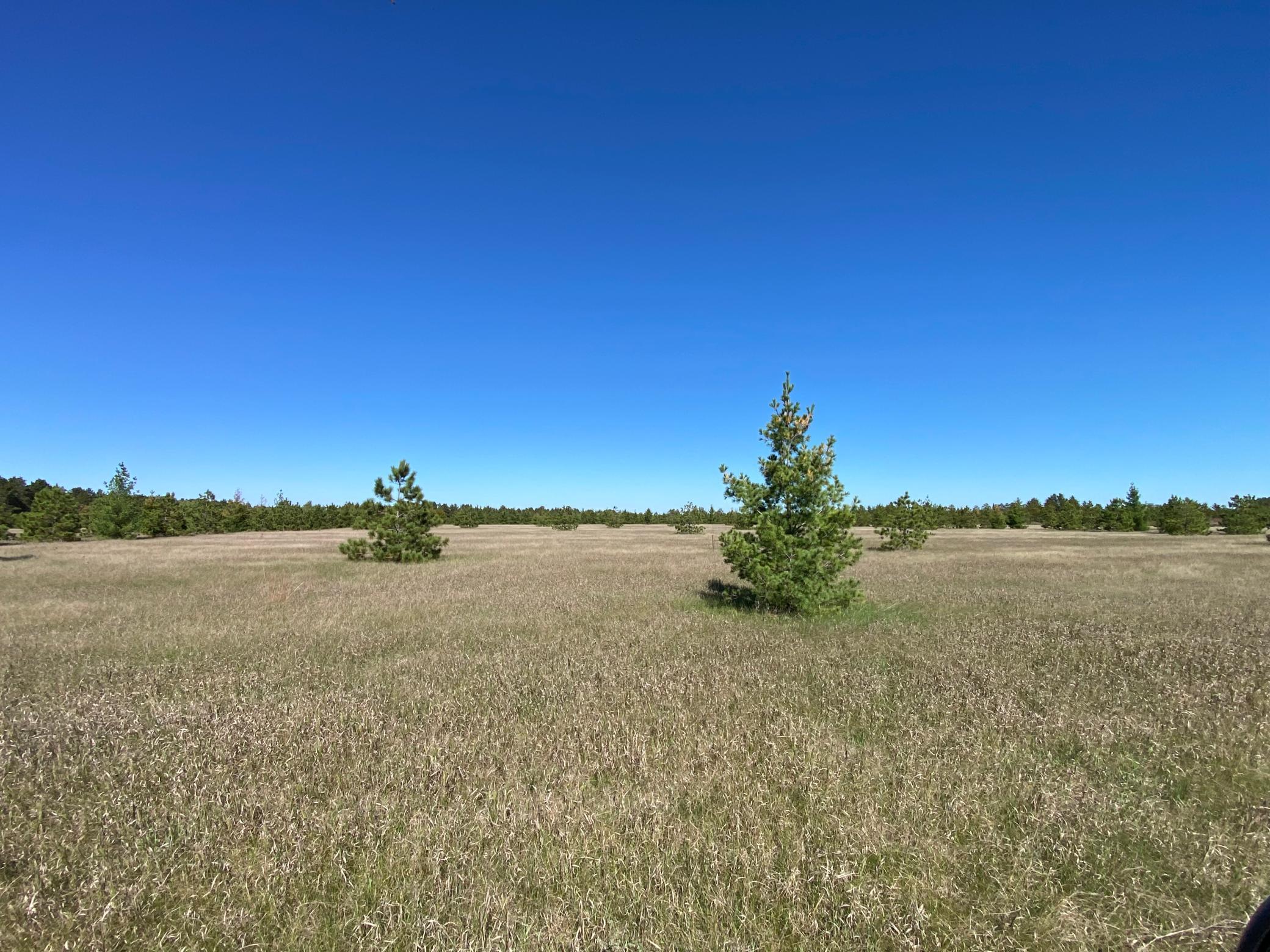 land for sale at TBD Crooked River Dr - Tract C in Park Rapids, MN (photo 5 of 5)