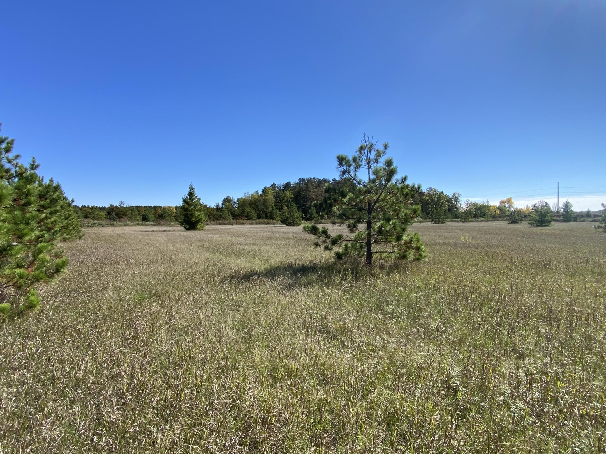 land for sale at TBD Crooked River Dr - Tract D in Park Rapids, MN (photo 2 of 6)
