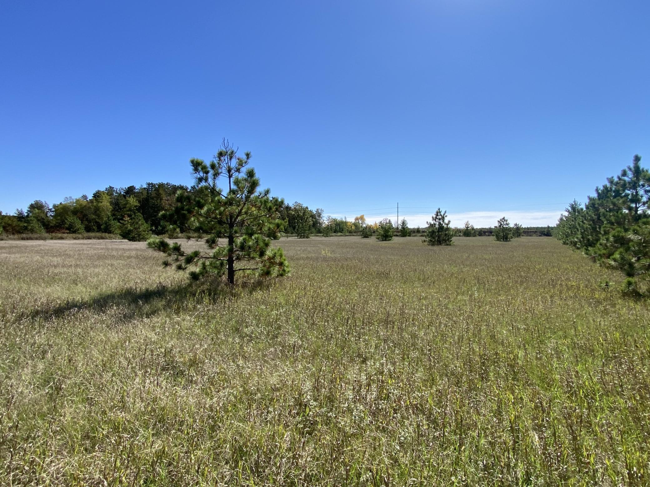 land for sale at TBD Crooked River Dr - Tract D in Park Rapids, MN (photo 3 of 6)