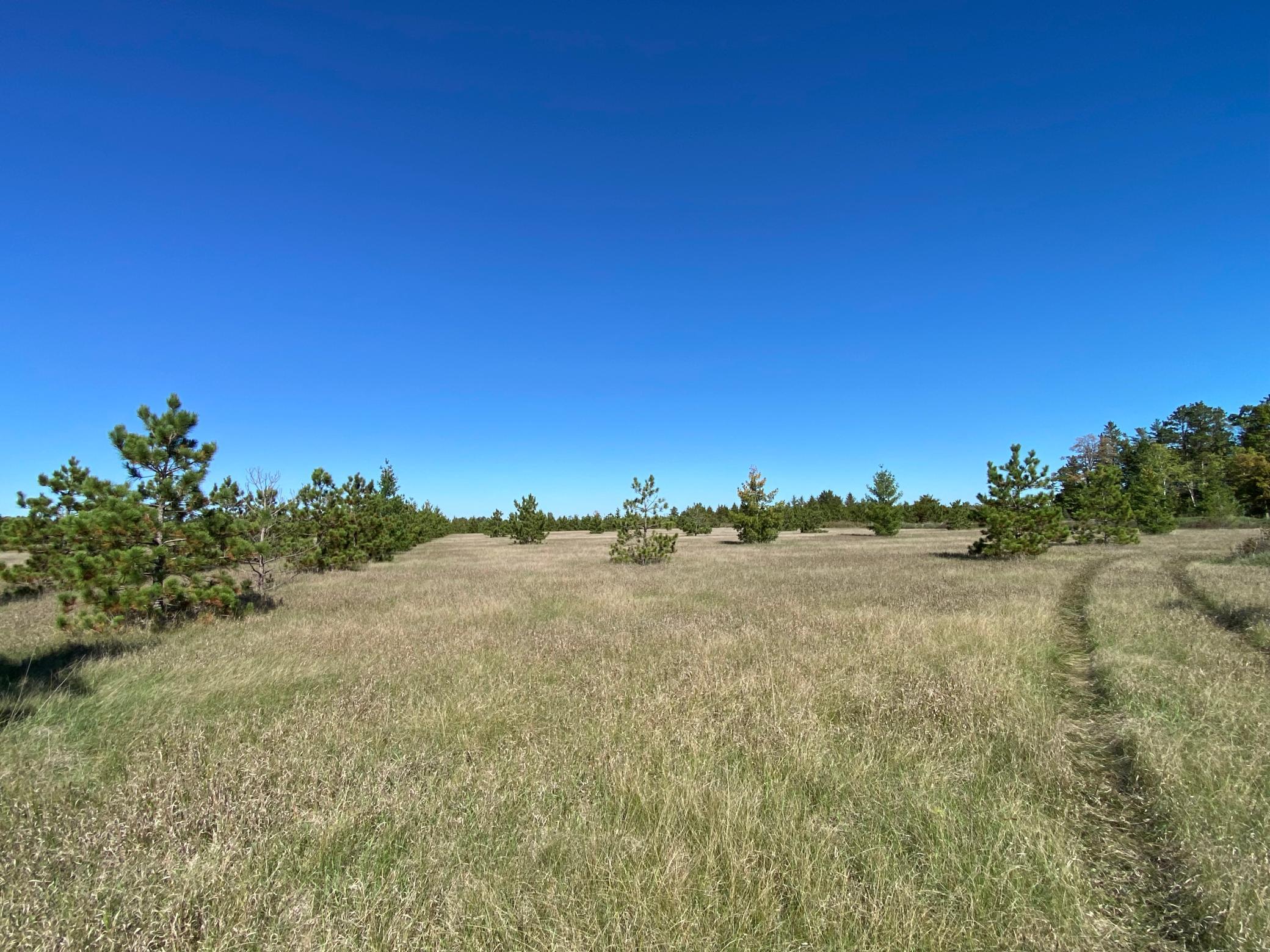 land for sale at TBD Crooked River Dr - Tract D in Park Rapids, MN (photo 4 of 6)