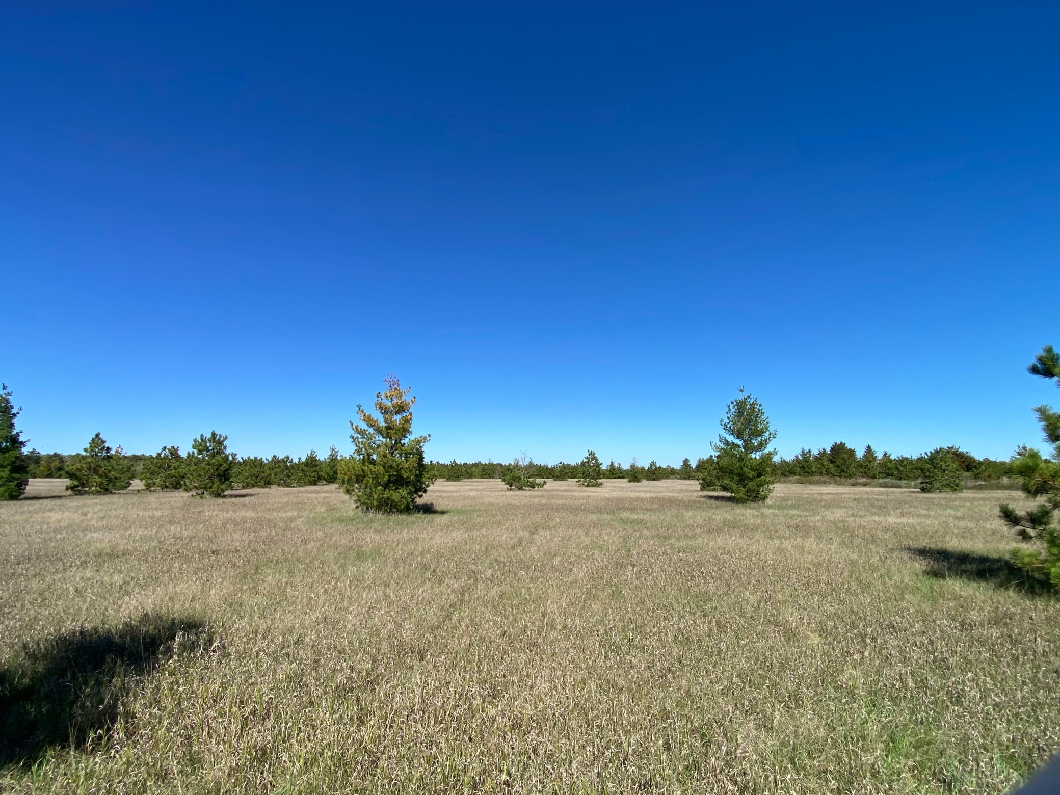 land for sale at TBD Crooked River Dr - Tract D in Park Rapids, MN (photo 5 of 6)