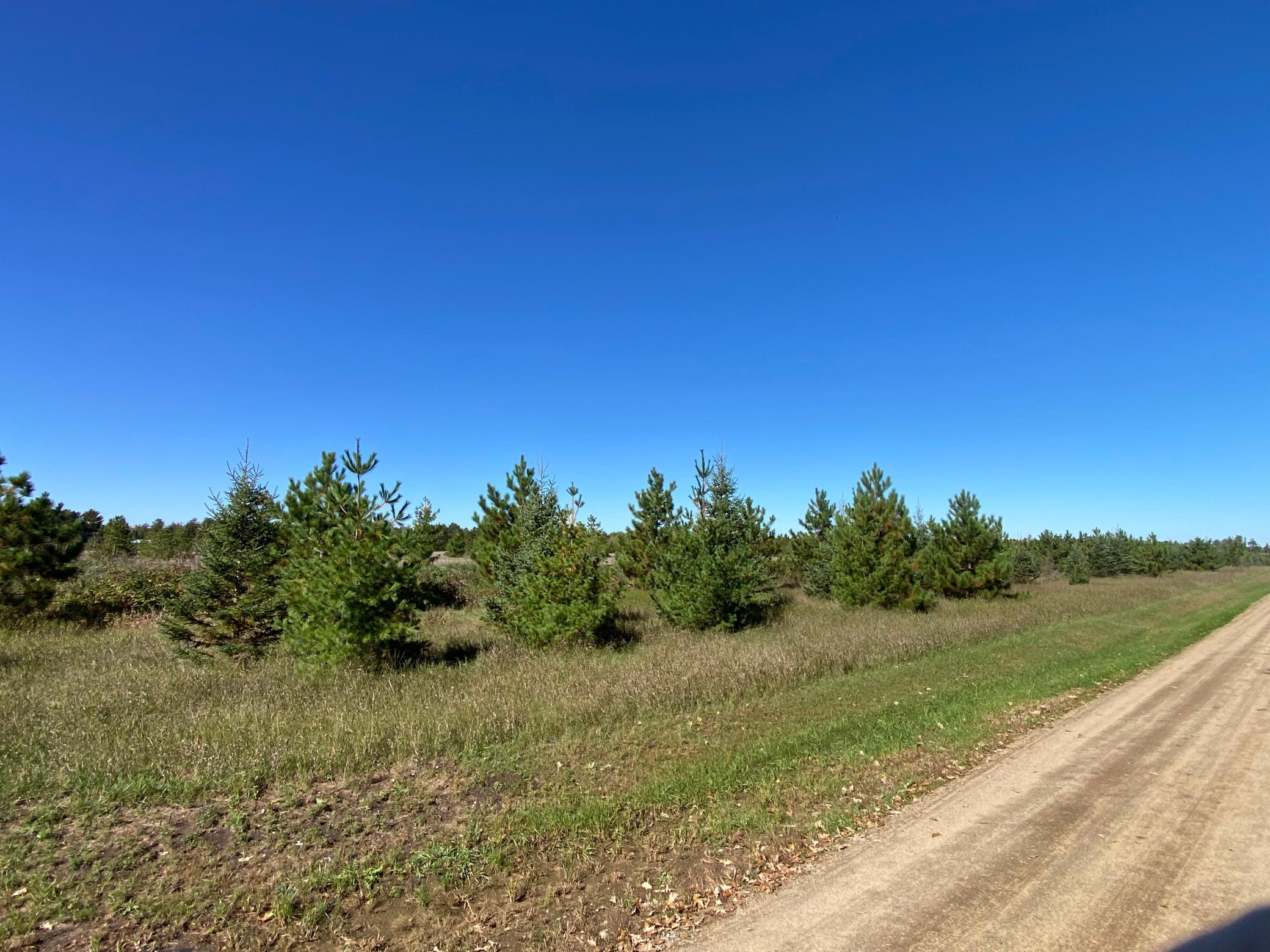 land for sale at TBD Crooked River Dr - Tract D in Park Rapids, MN (photo 6 of 6)