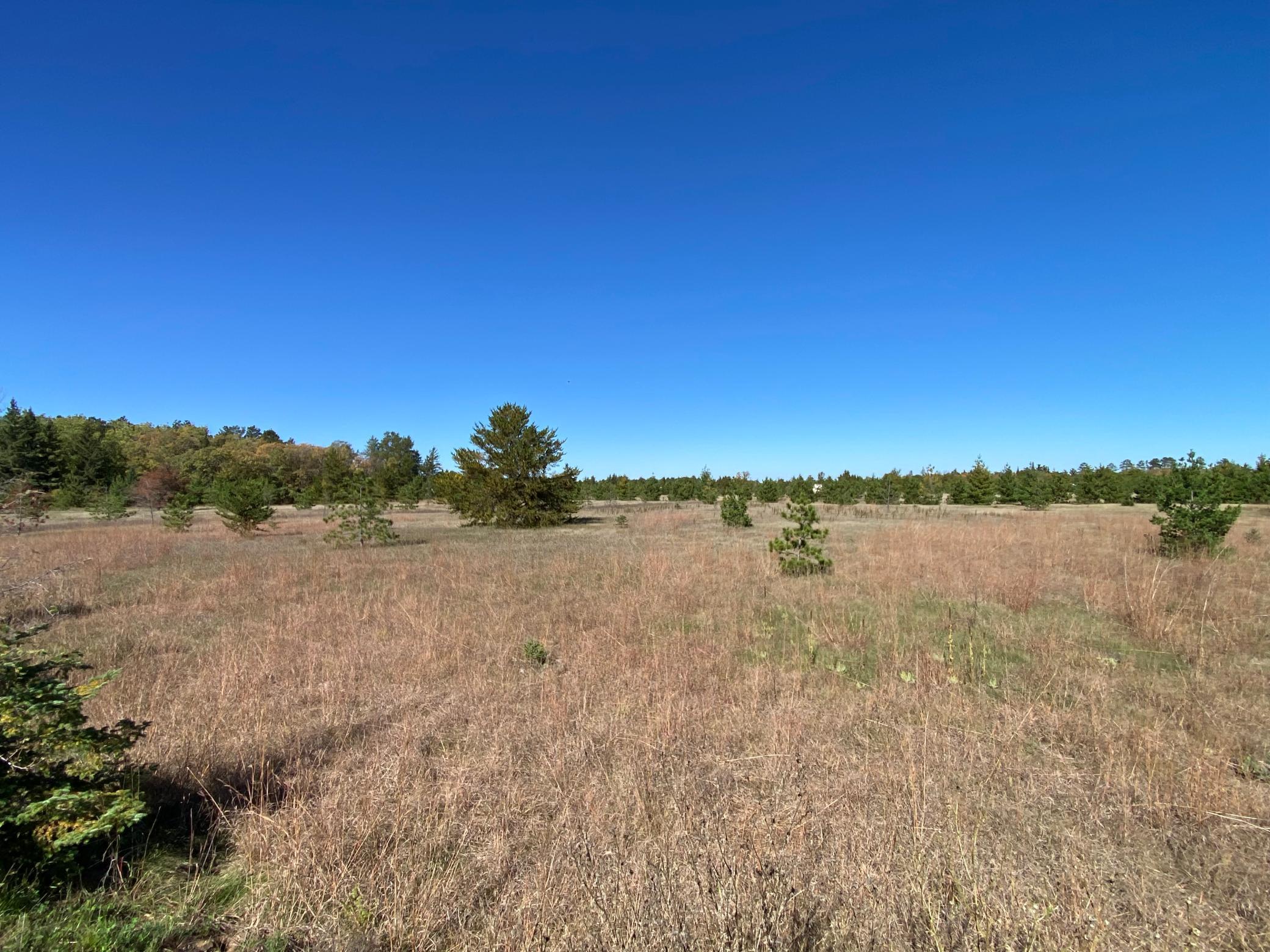 land for sale at TBD State Hwy 87 - Lot 1 in Park Rapids, MN (photo 2 of 7)