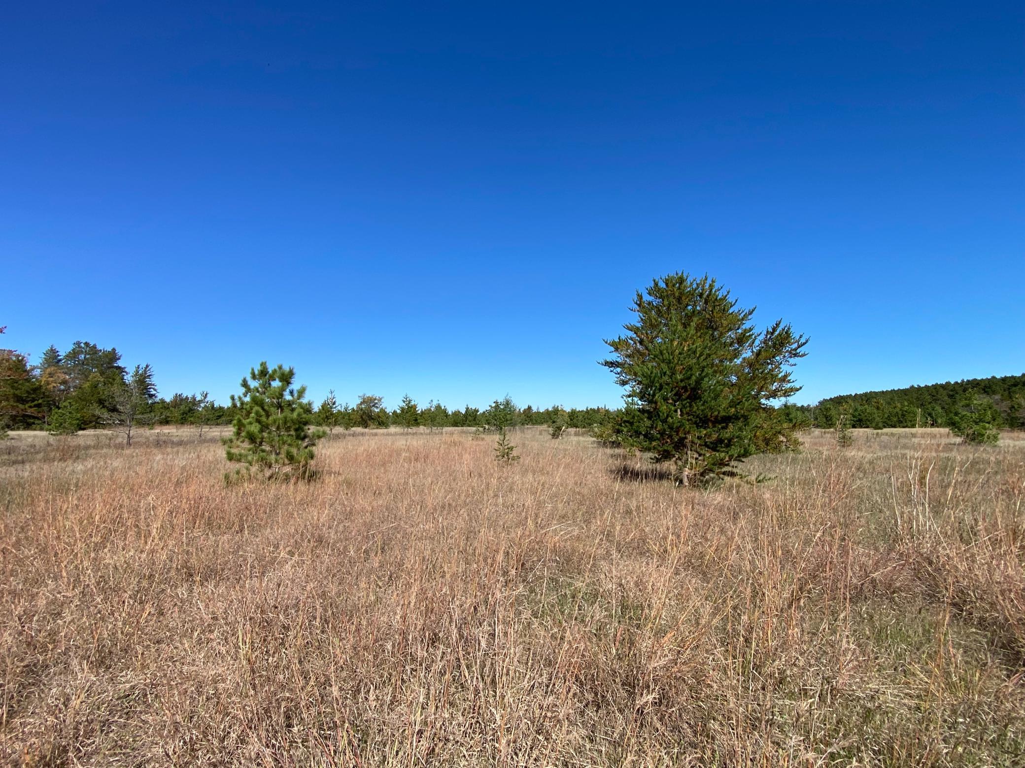 land for sale at TBD State Hwy 87 - Lot 1 in Park Rapids, MN (photo 3 of 7)