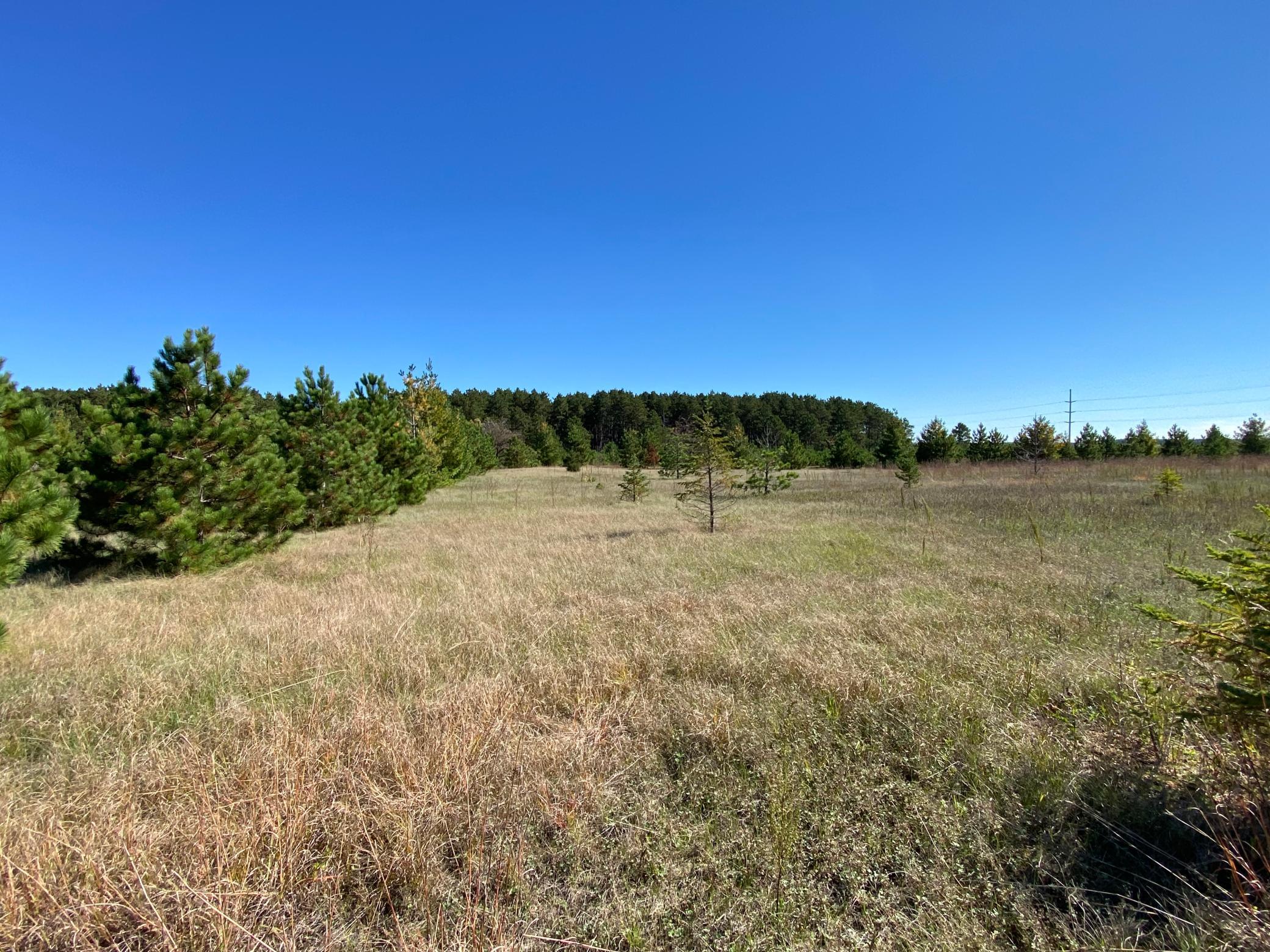 land for sale at TBD State Hwy 87 - Lot 1 in Park Rapids, MN (photo 4 of 7)