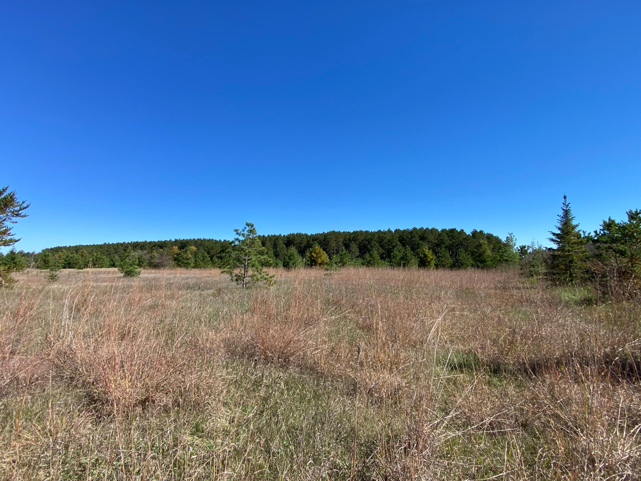 land for sale at TBD State Hwy 87 - Lot 1 in Park Rapids, MN (photo 5 of 7)