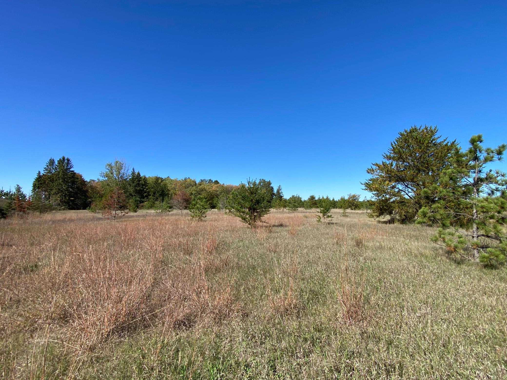 land for sale at TBD State Hwy 87 - Lot 2 in Park Rapids, MN (photo 2 of 7)