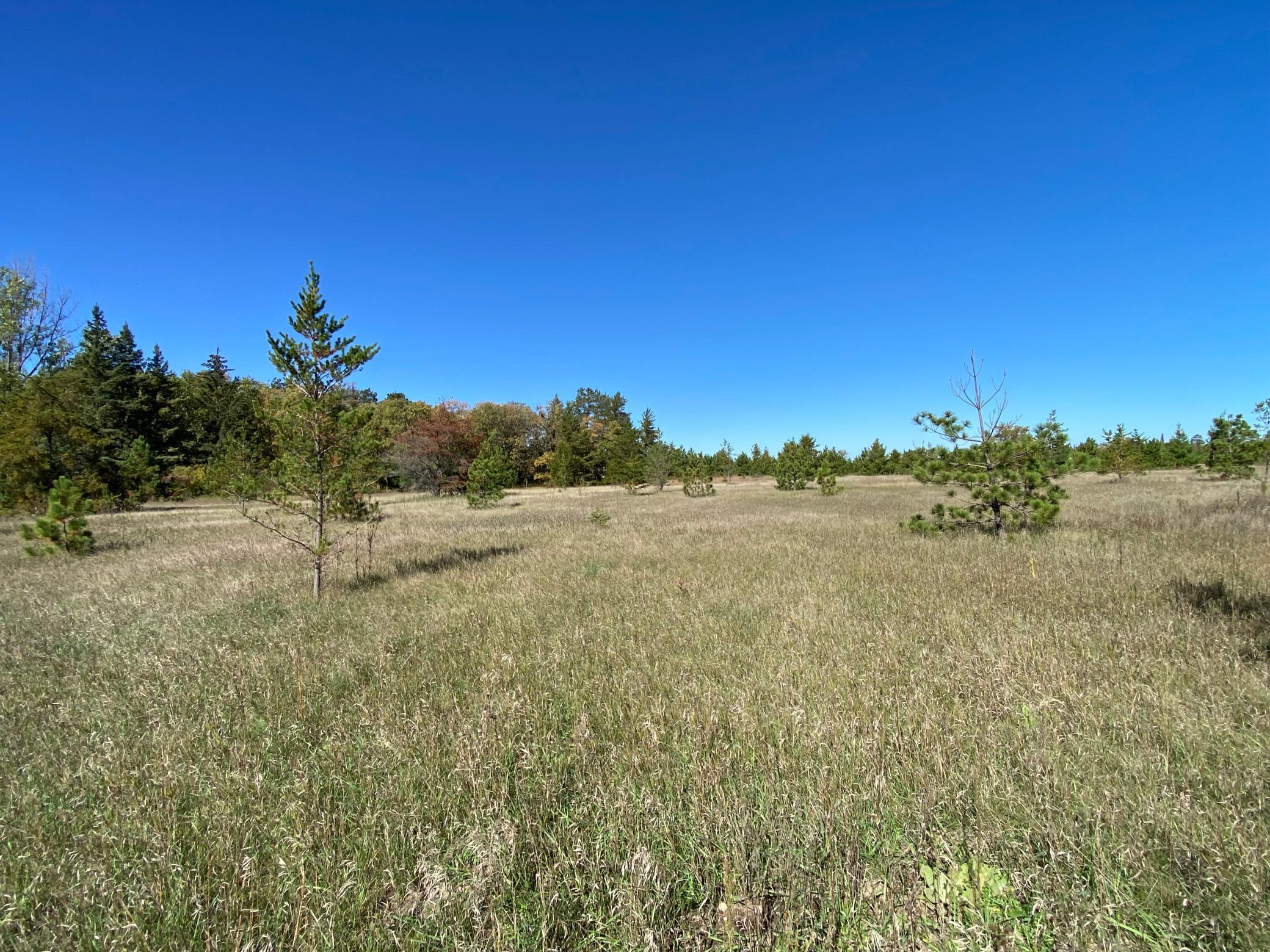 land for sale at TBD State Hwy 87 - Lot 2 in Park Rapids, MN (photo 3 of 7)