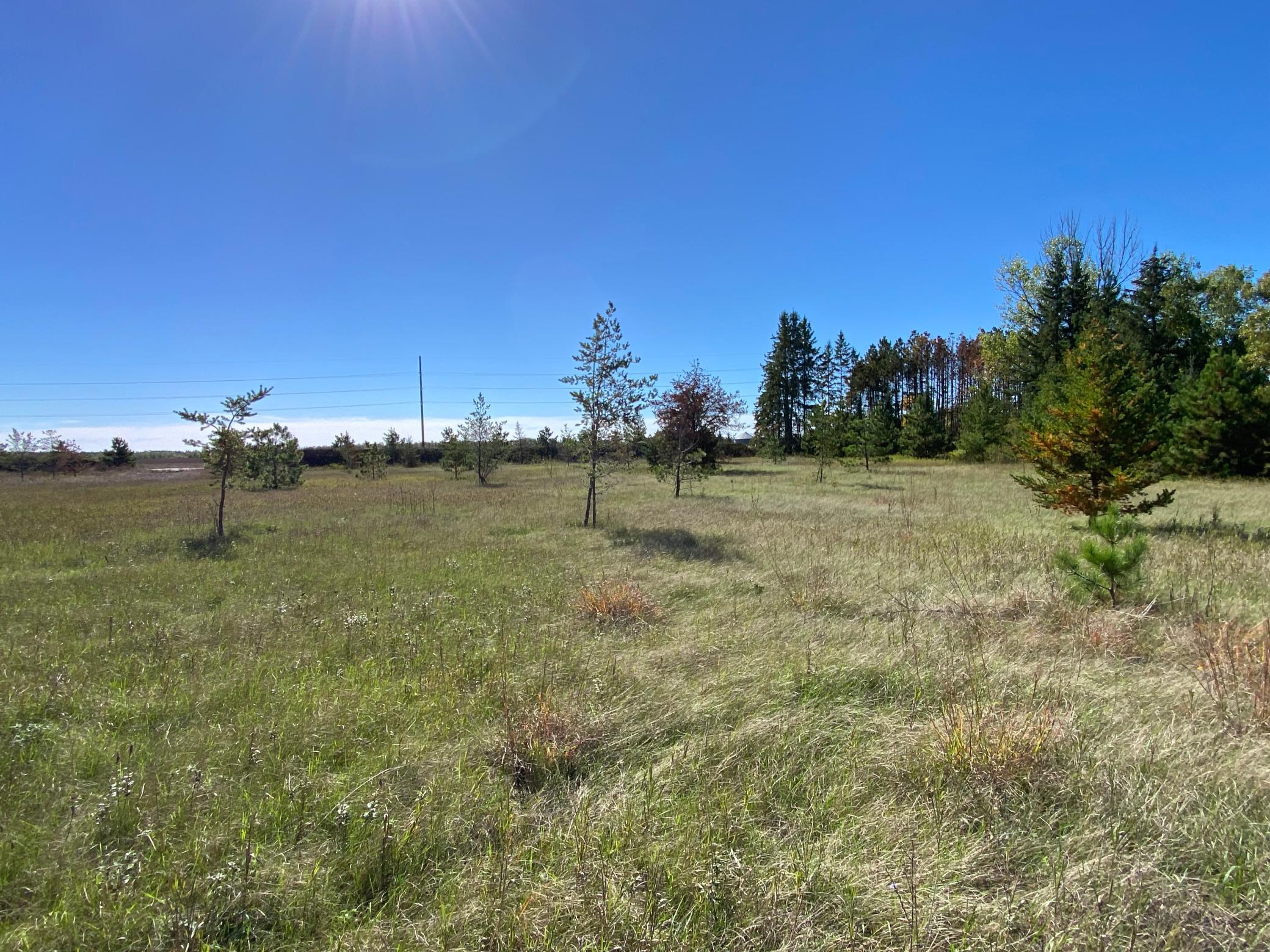 land for sale at TBD State Hwy 87 - Lot 2 in Park Rapids, MN (photo 4 of 7)