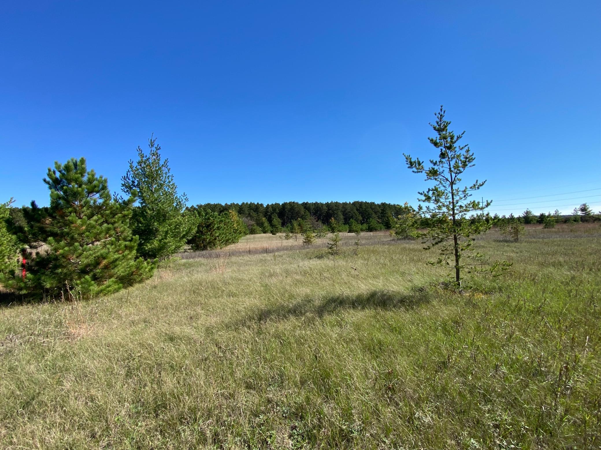 land for sale at TBD State Hwy 87 - Lot 2 in Park Rapids, MN (photo 5 of 7)