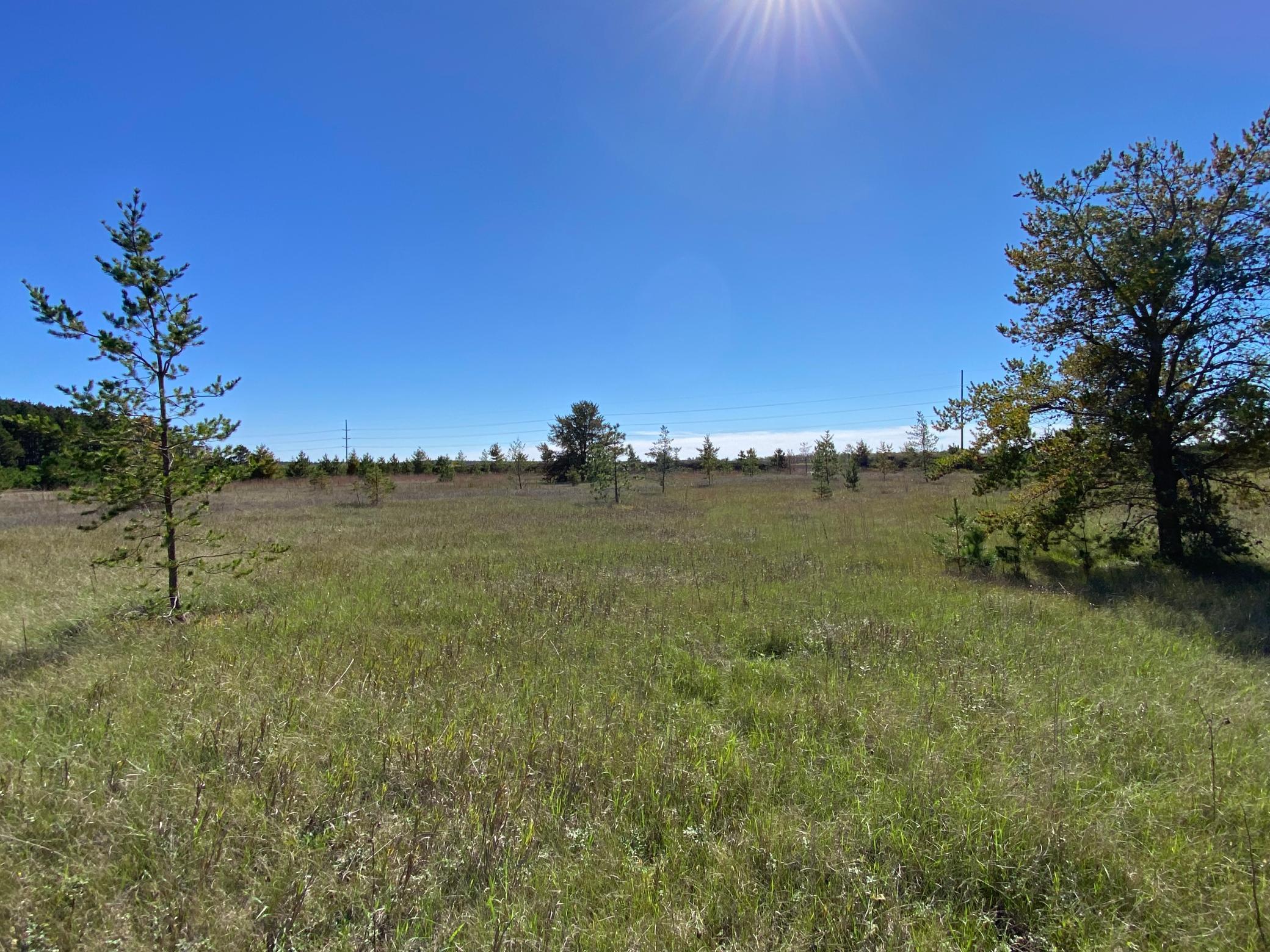 land for sale at TBD State Hwy 87 - Lot 2 in Park Rapids, MN (photo 6 of 7)