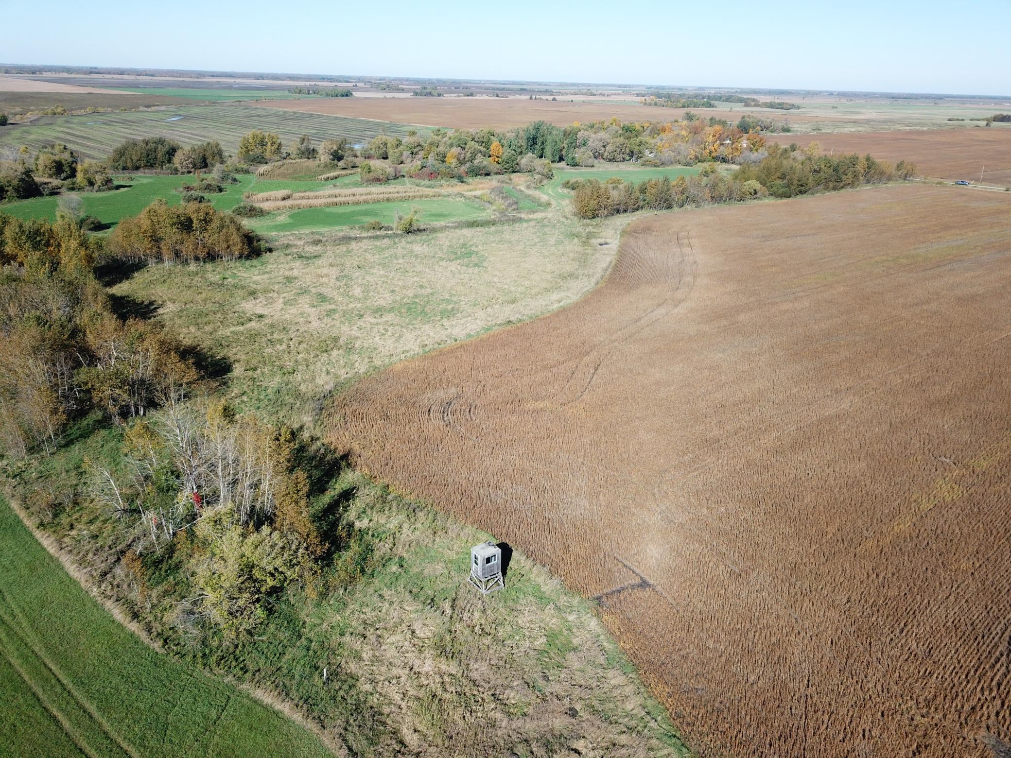 2020 land for sale at 11763 546th Street in Gonvick, MN (photo 11 of 64)