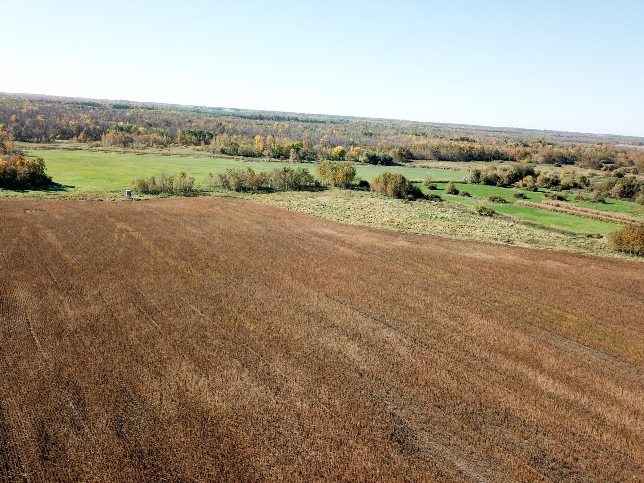 2020 land for sale at 11763 546th Street in Gonvick, MN (photo 12 of 64)