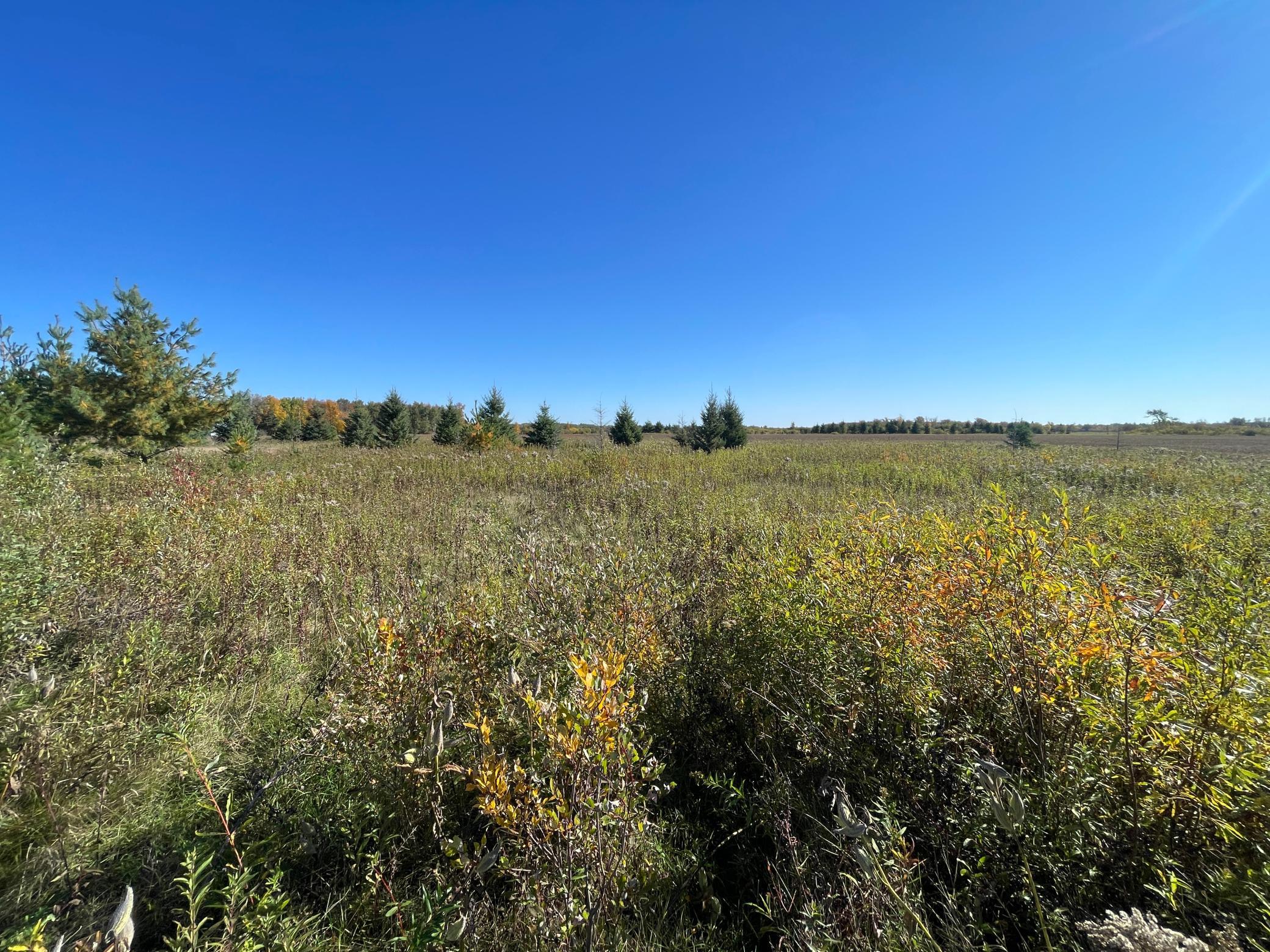 2020 land for sale at 11763 546th Street in Gonvick, MN (photo 41 of 64)