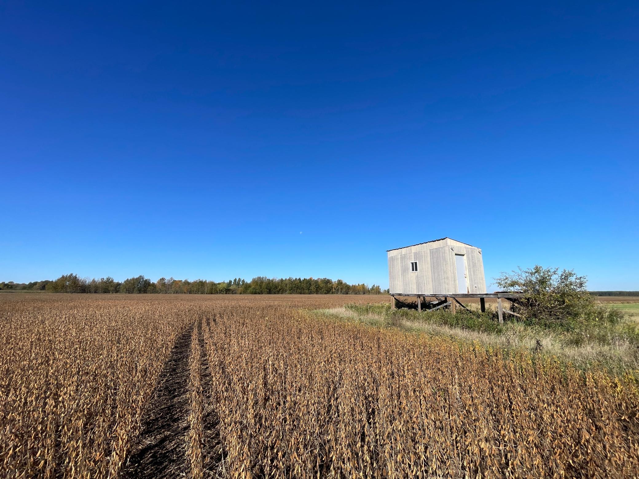 2020 land for sale at 11763 546th Street in Gonvick, MN (photo 45 of 64)