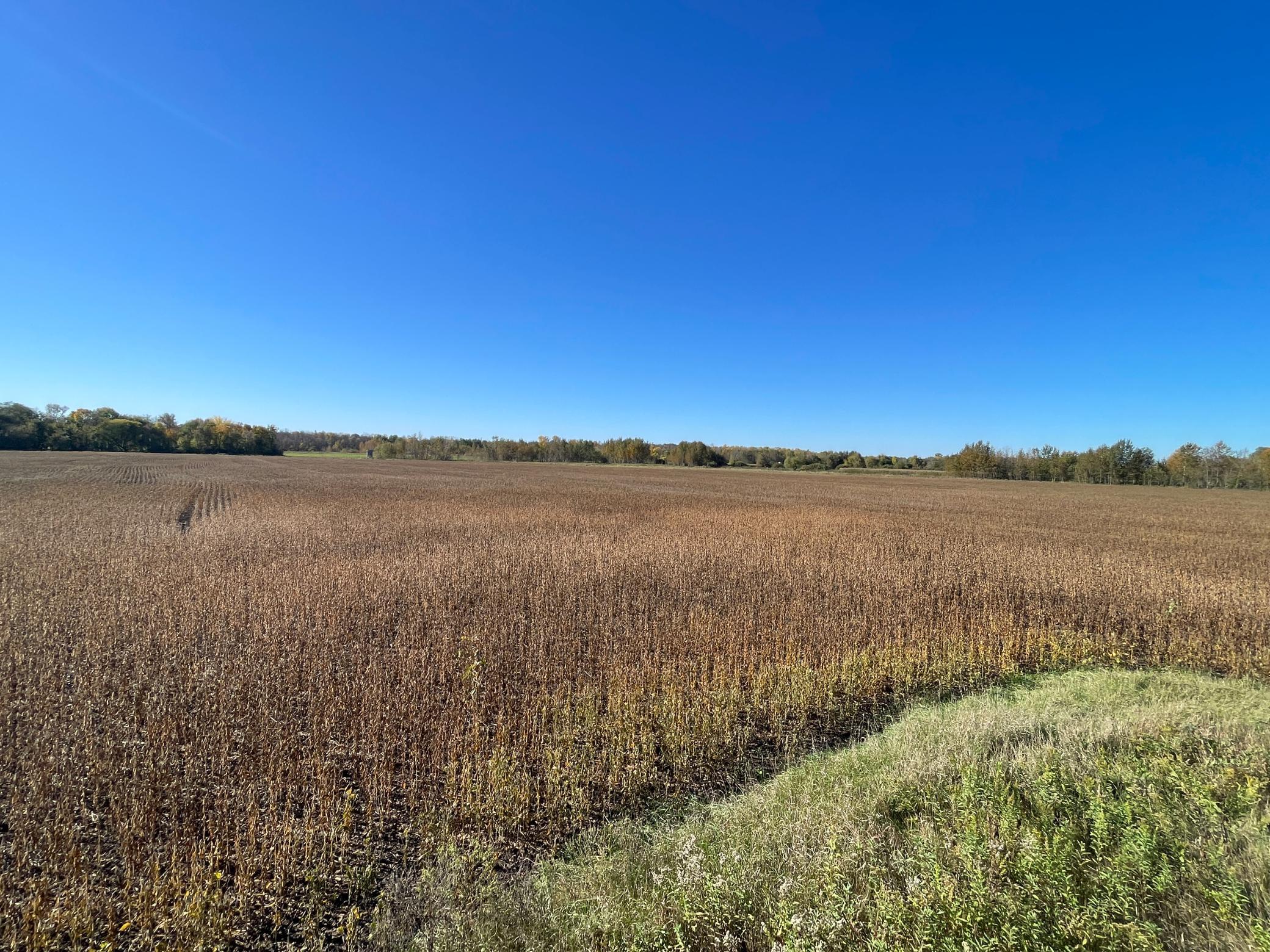 2020 land for sale at 11763 546th Street in Gonvick, MN (photo 47 of 64)