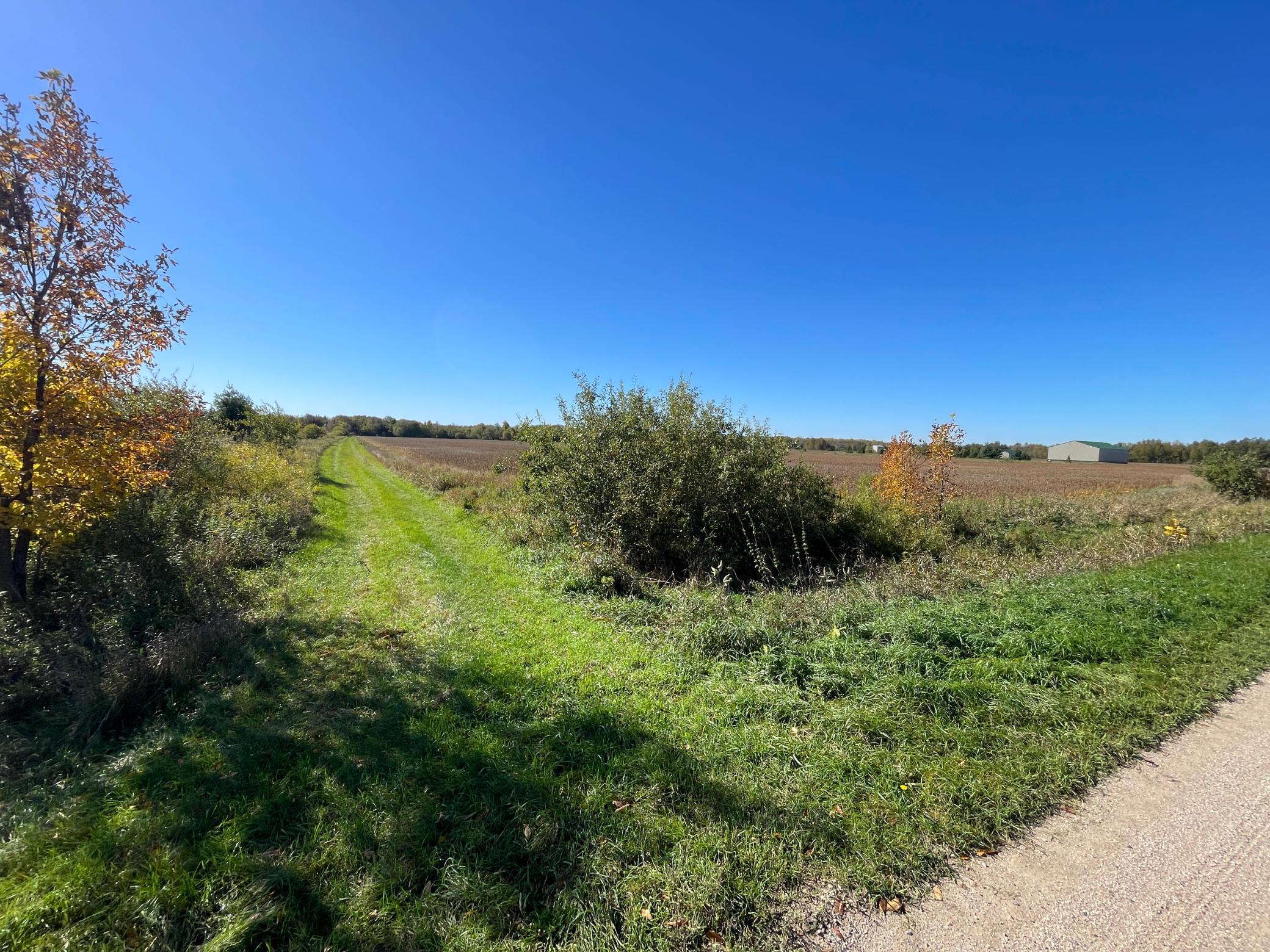 2020 land for sale at 11763 546th Street in Gonvick, MN (photo 49 of 64)