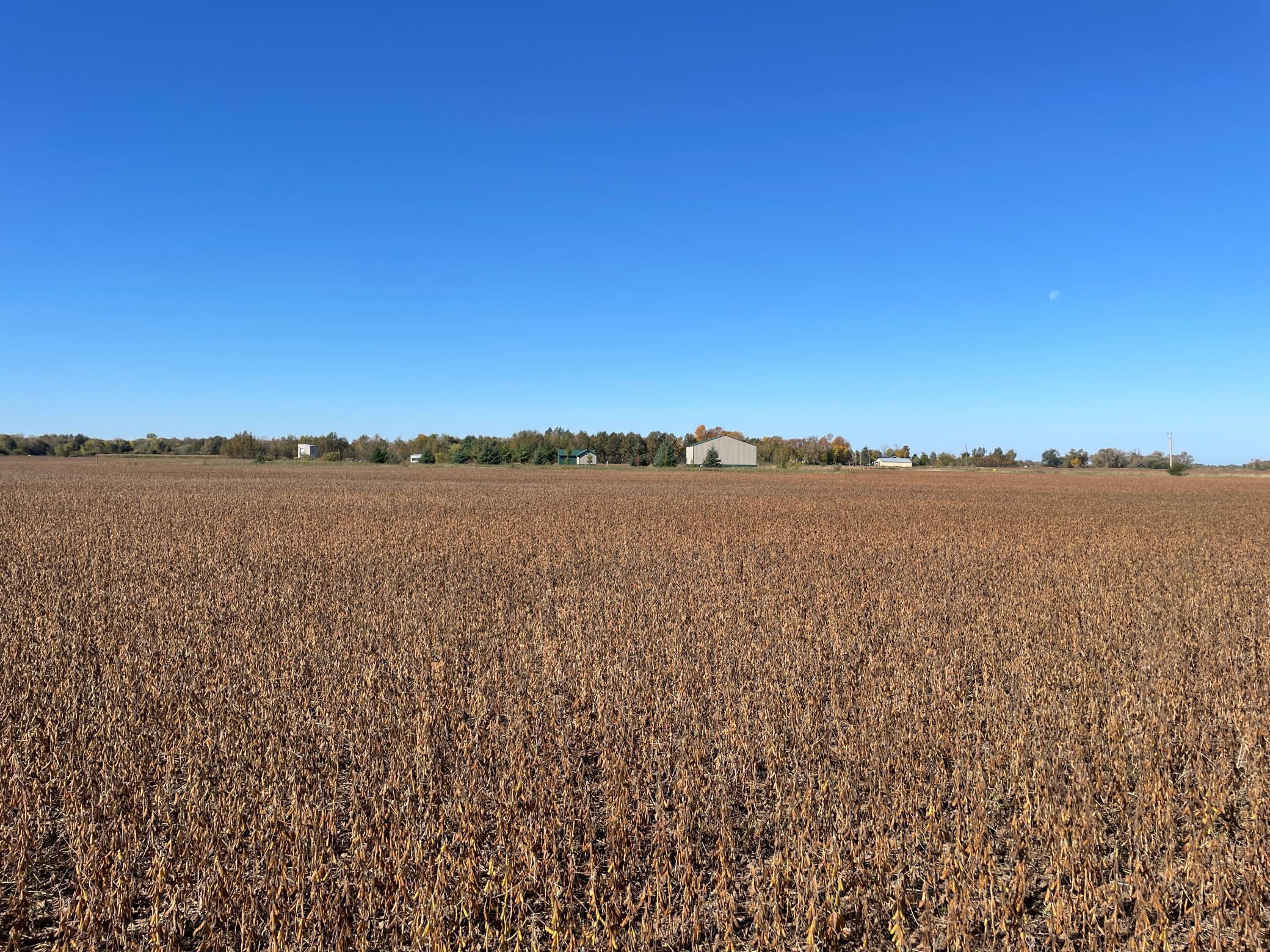 2020 land for sale at 11763 546th Street in Gonvick, MN (photo 50 of 64)