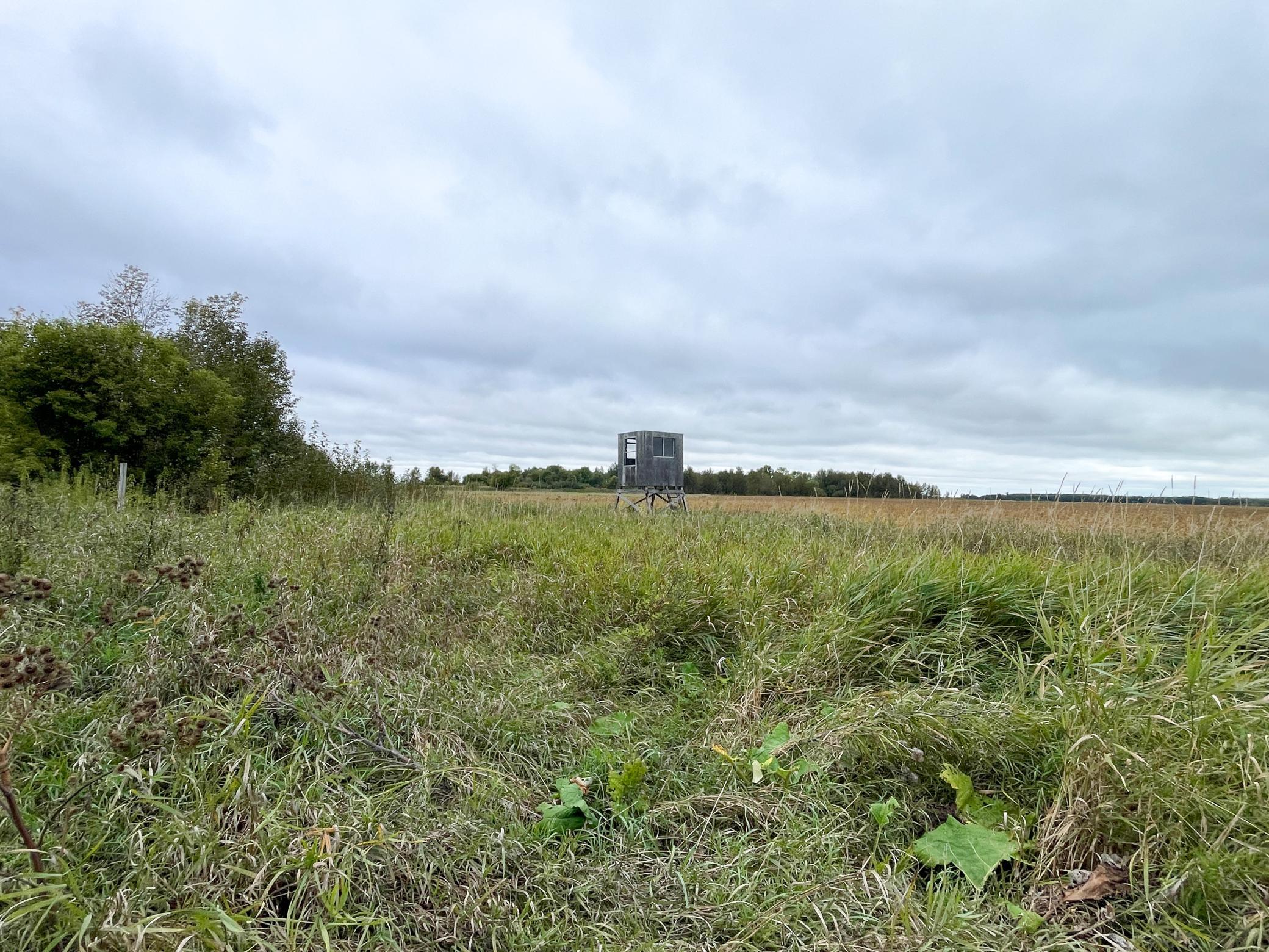 2020 land for sale at 11763 546th Street in Gonvick, MN (photo 51 of 64)