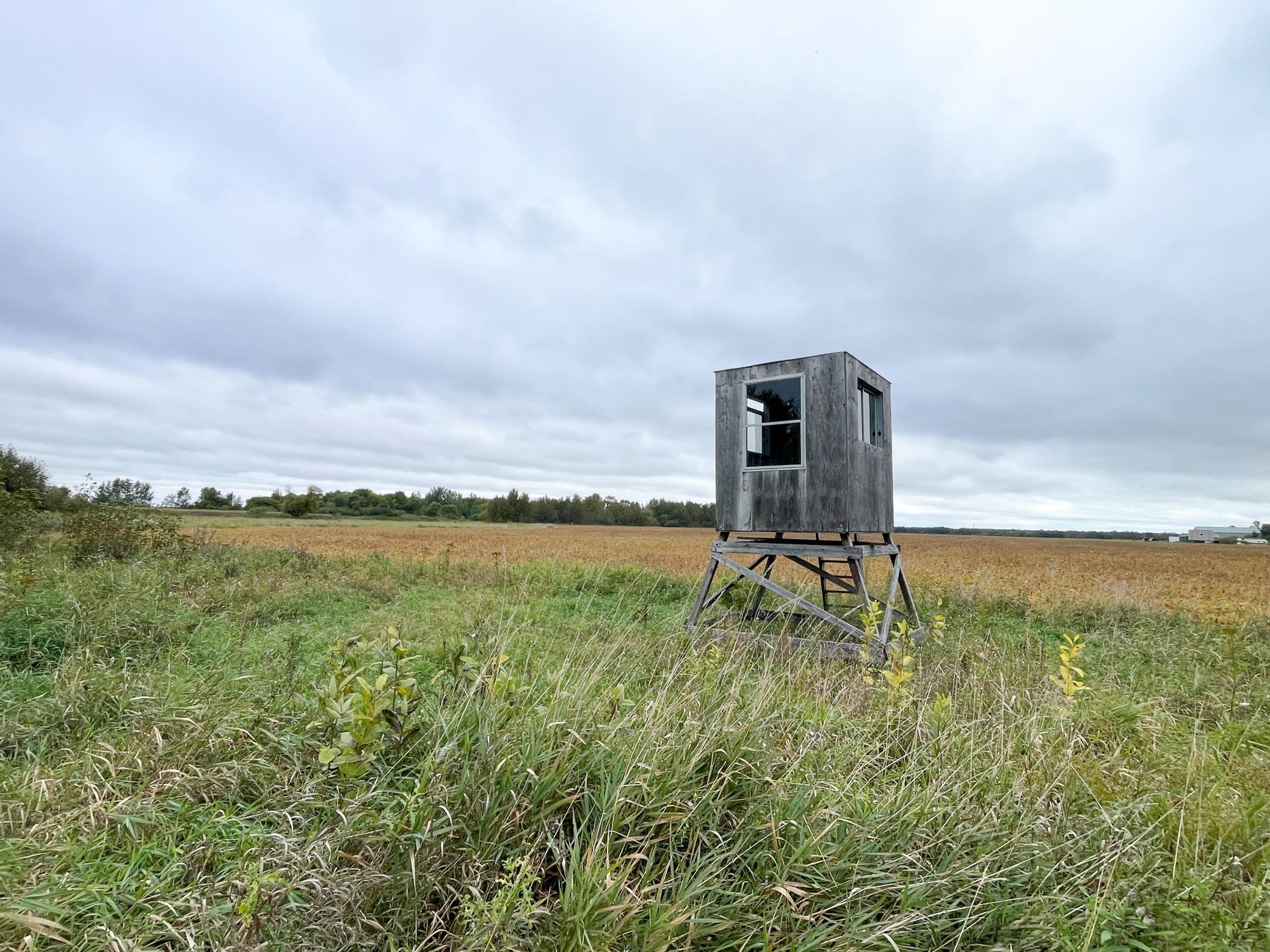2020 land for sale at 11763 546th Street in Gonvick, MN (photo 52 of 64)