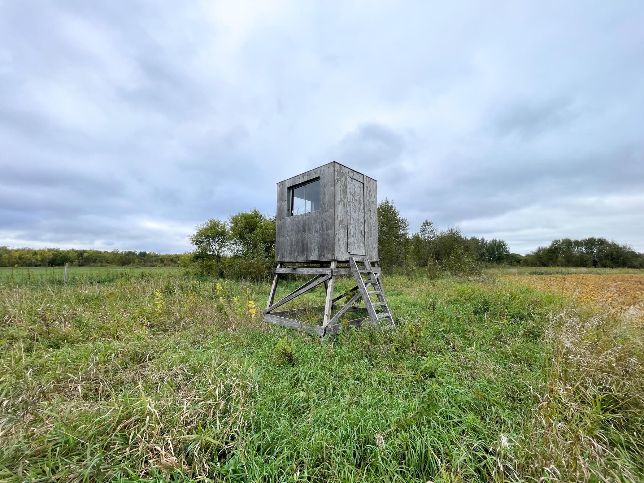 2020 land for sale at 11763 546th Street in Gonvick, MN (photo 53 of 64)