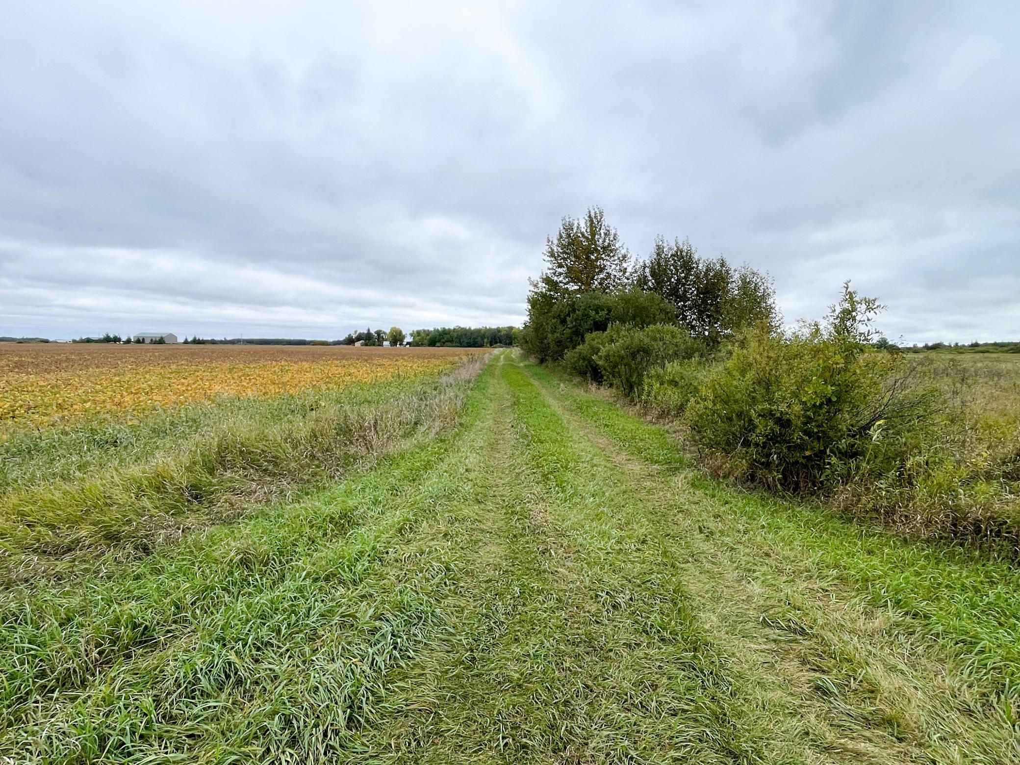 2020 land for sale at 11763 546th Street in Gonvick, MN (photo 56 of 64)