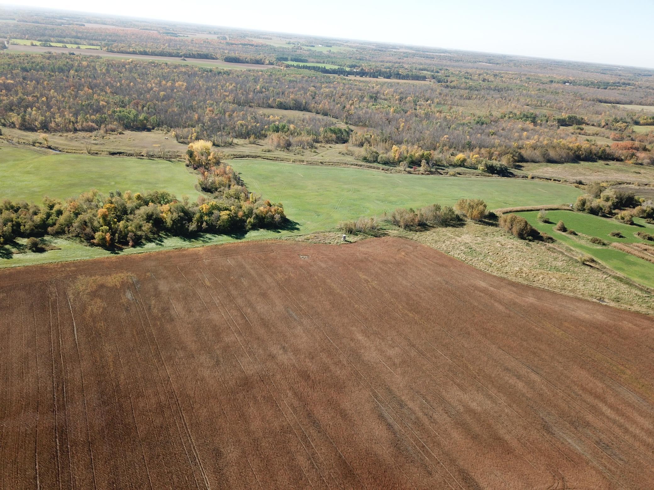 2020 land for sale at 11763 546th Street in Gonvick, MN (photo 10 of 64)