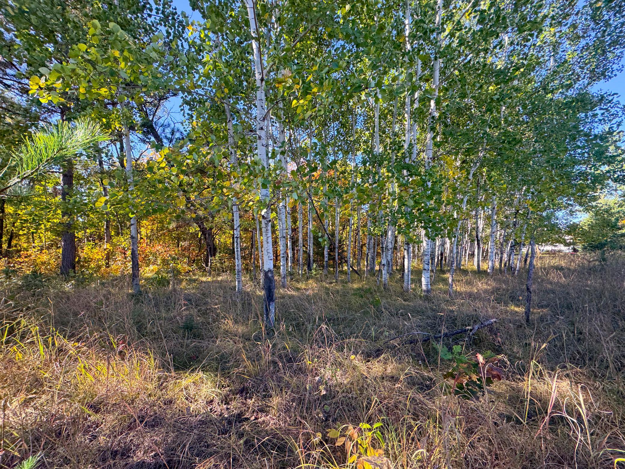 land for sale at TBD Golf View Drive NE in Bemidji, MN (photo 4 of 9)