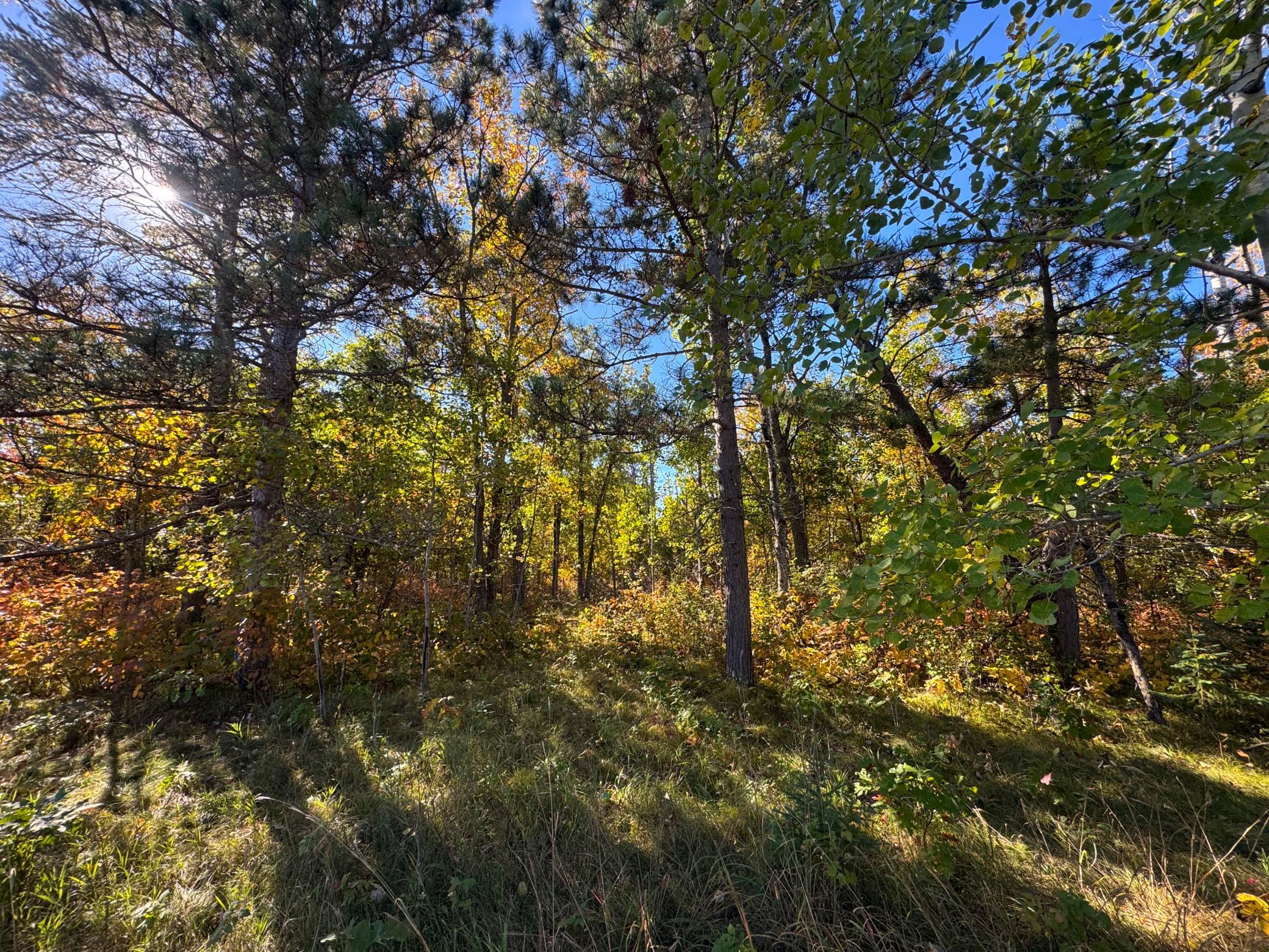 land for sale at TBD Golf View Drive NE in Bemidji, MN (photo 5 of 9)