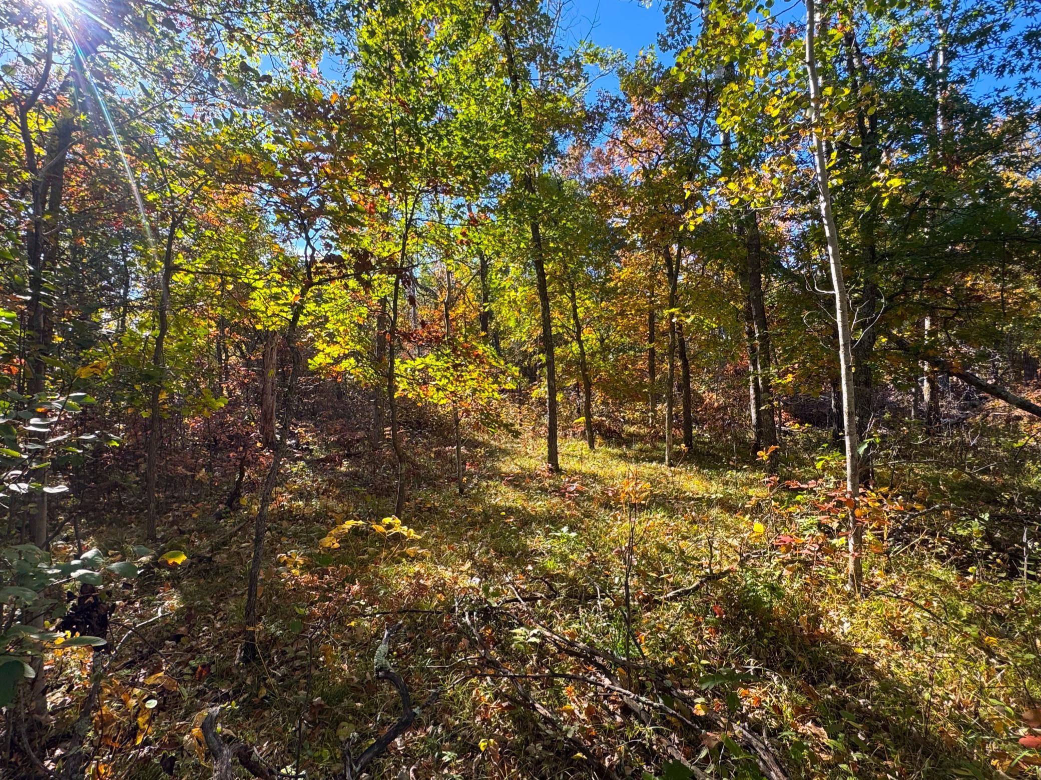 land for sale at TBD Golf View Drive NE in Bemidji, MN (photo 6 of 9)
