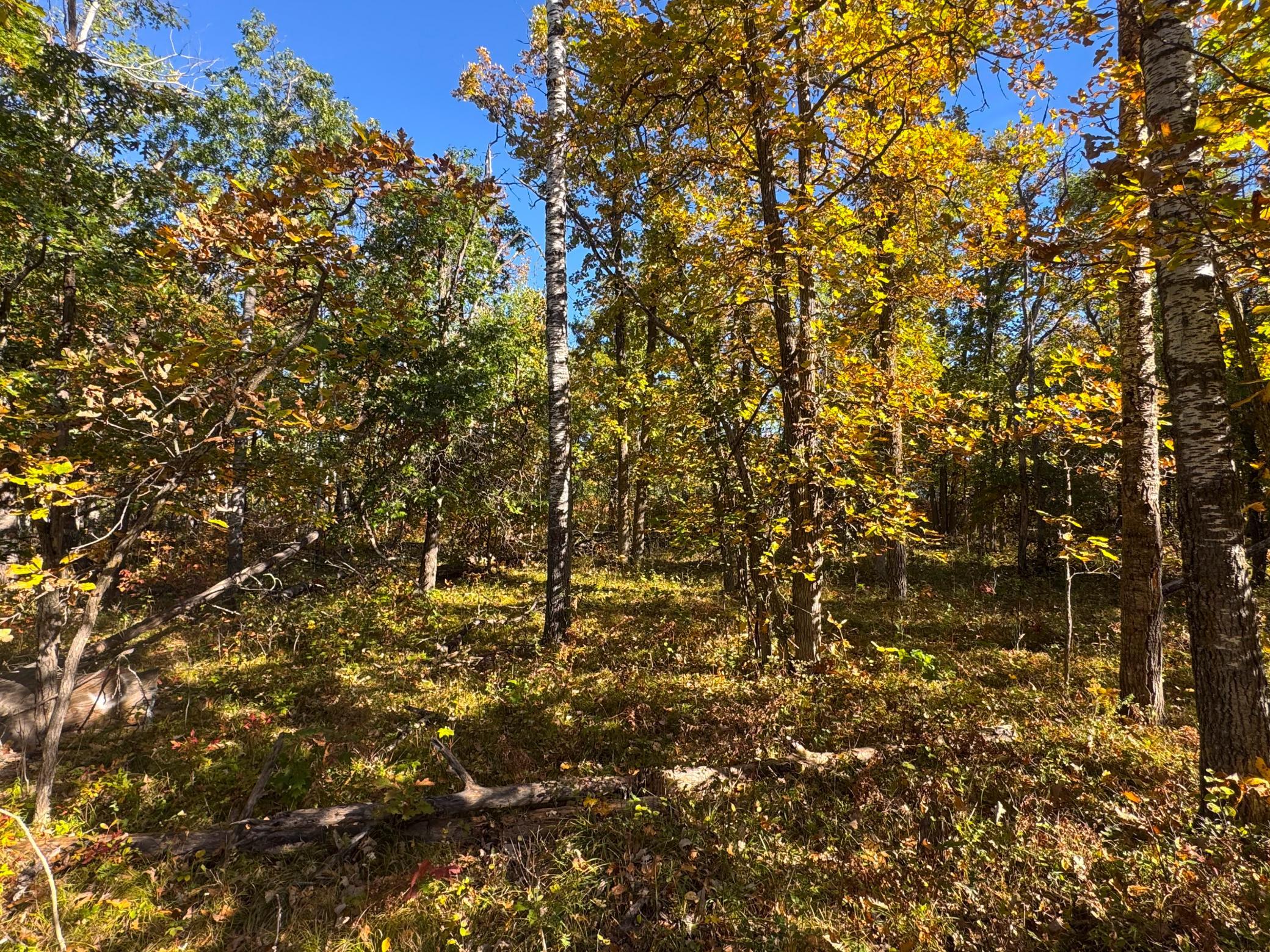 land for sale at TBD Golf View Drive NE in Bemidji, MN (photo 7 of 9)