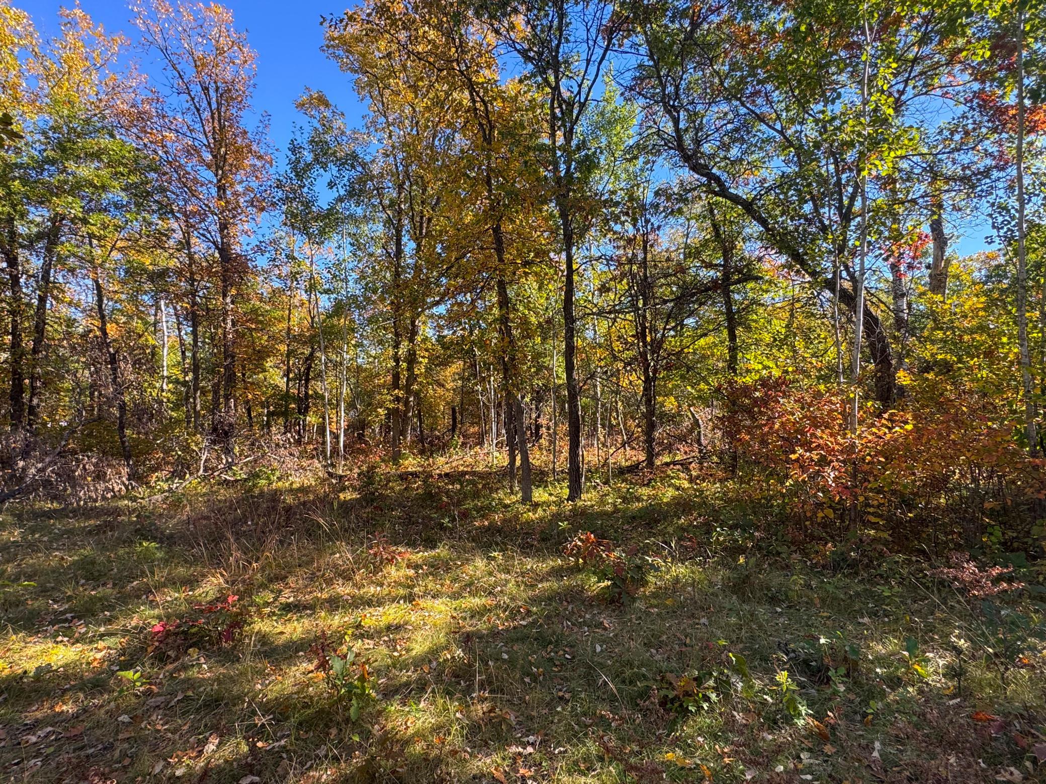 land for sale at TBD Golf View Drive NE in Bemidji, MN (photo 8 of 9)