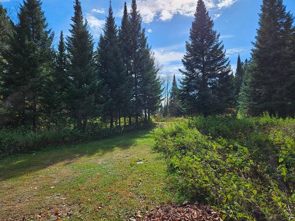 land for sale at Lt 3 Blk 1 County Rd 238 in Deer River, MN