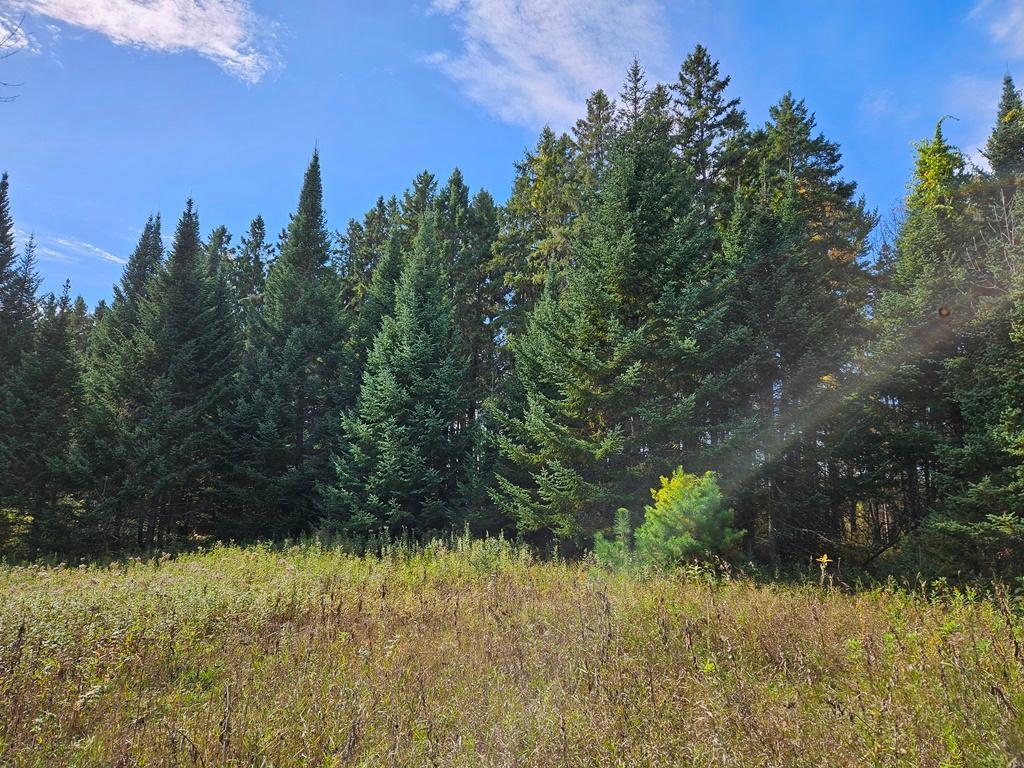 land for sale at Lt 3 Blk 1 County Rd 238 in Deer River, MN (photo 2 of 18)