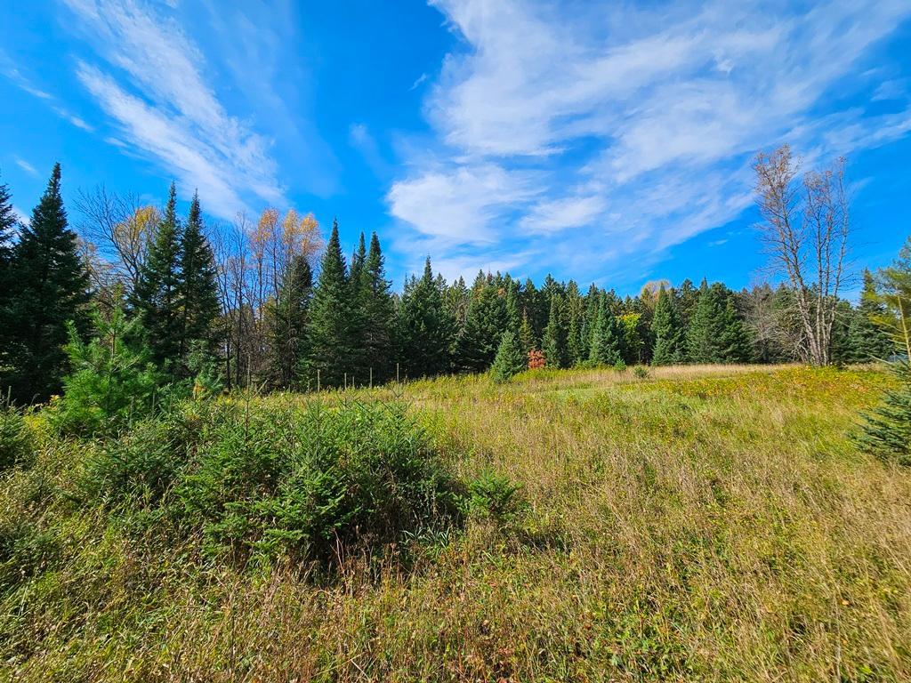 land for sale at Lt 3 Blk 1 County Rd 238 in Deer River, MN (photo 11 of 18)